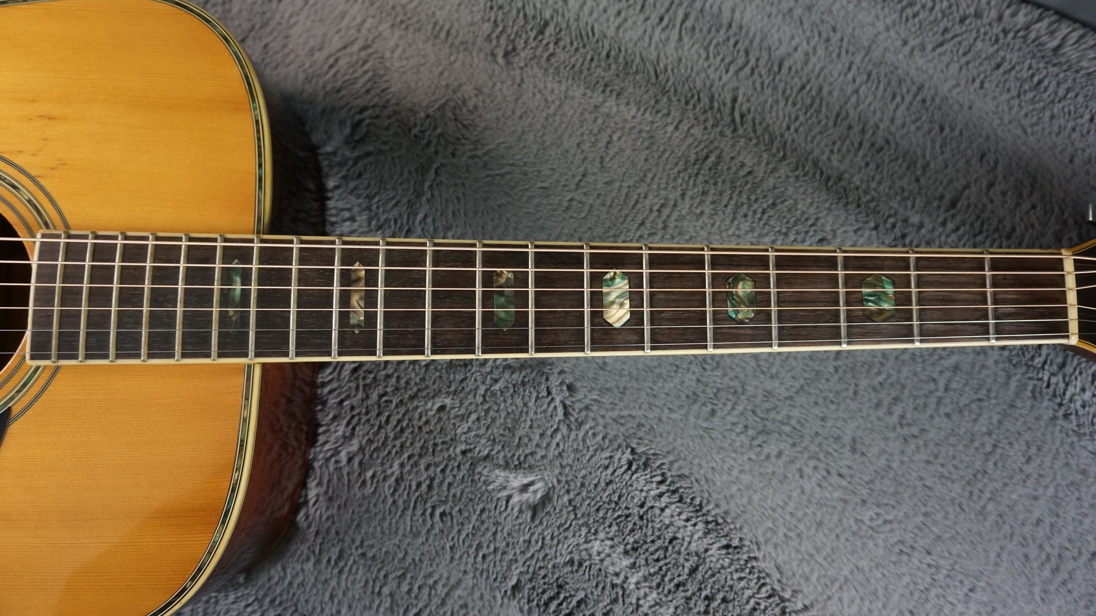 Morris W-40 Japan Solid Spruce Top w/ Fishman Electronics