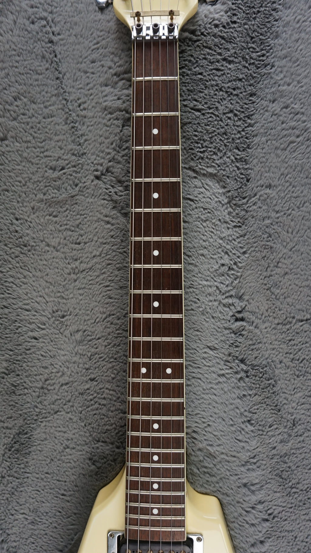 Fernandes/Burny BSV-70 The Function Flying V Short Scale