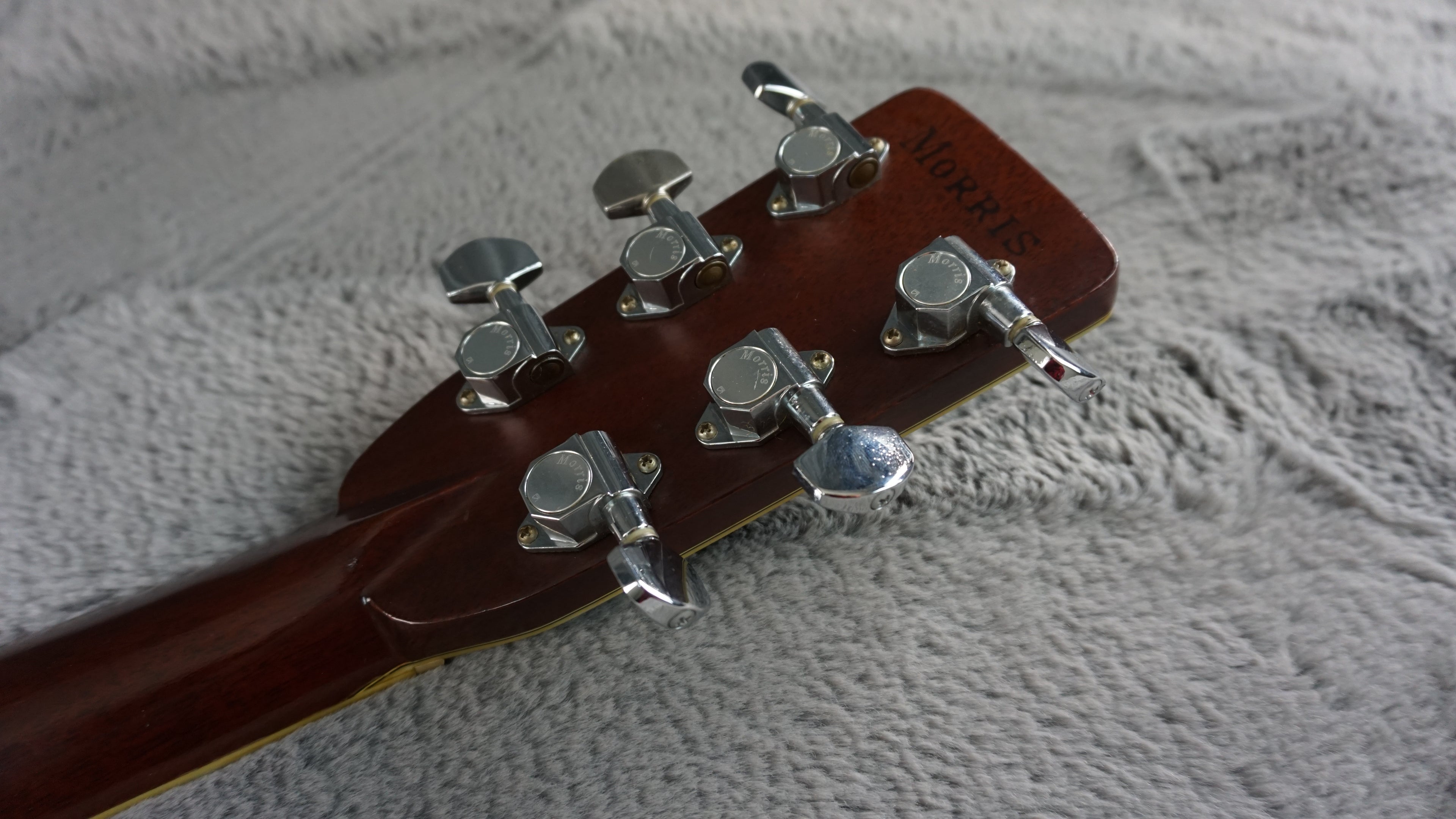 Morris 50 Special Japan Dreadnought w/ Hard Case
