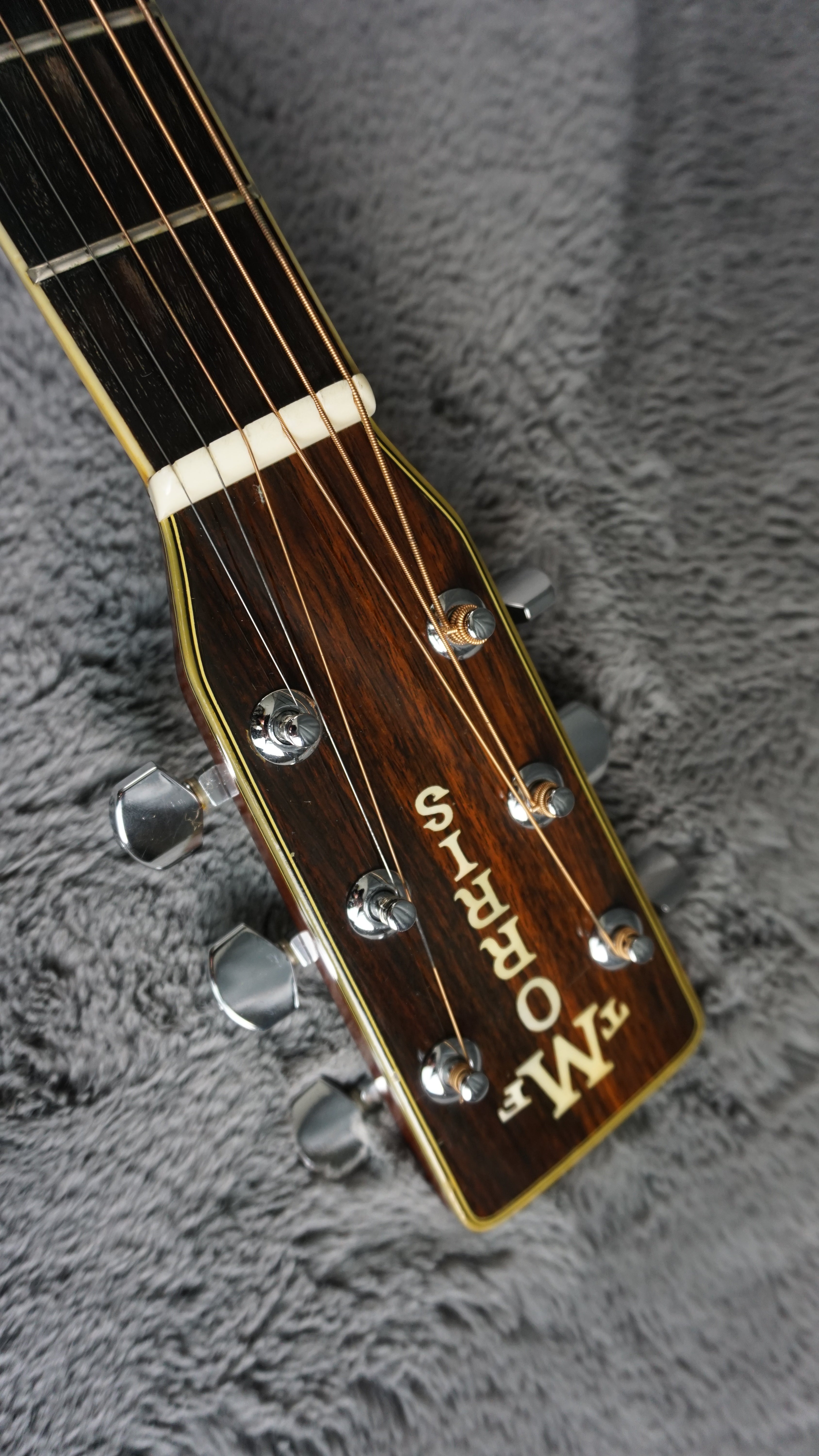 TF Morris W-50 - Natural Japan Acoustic