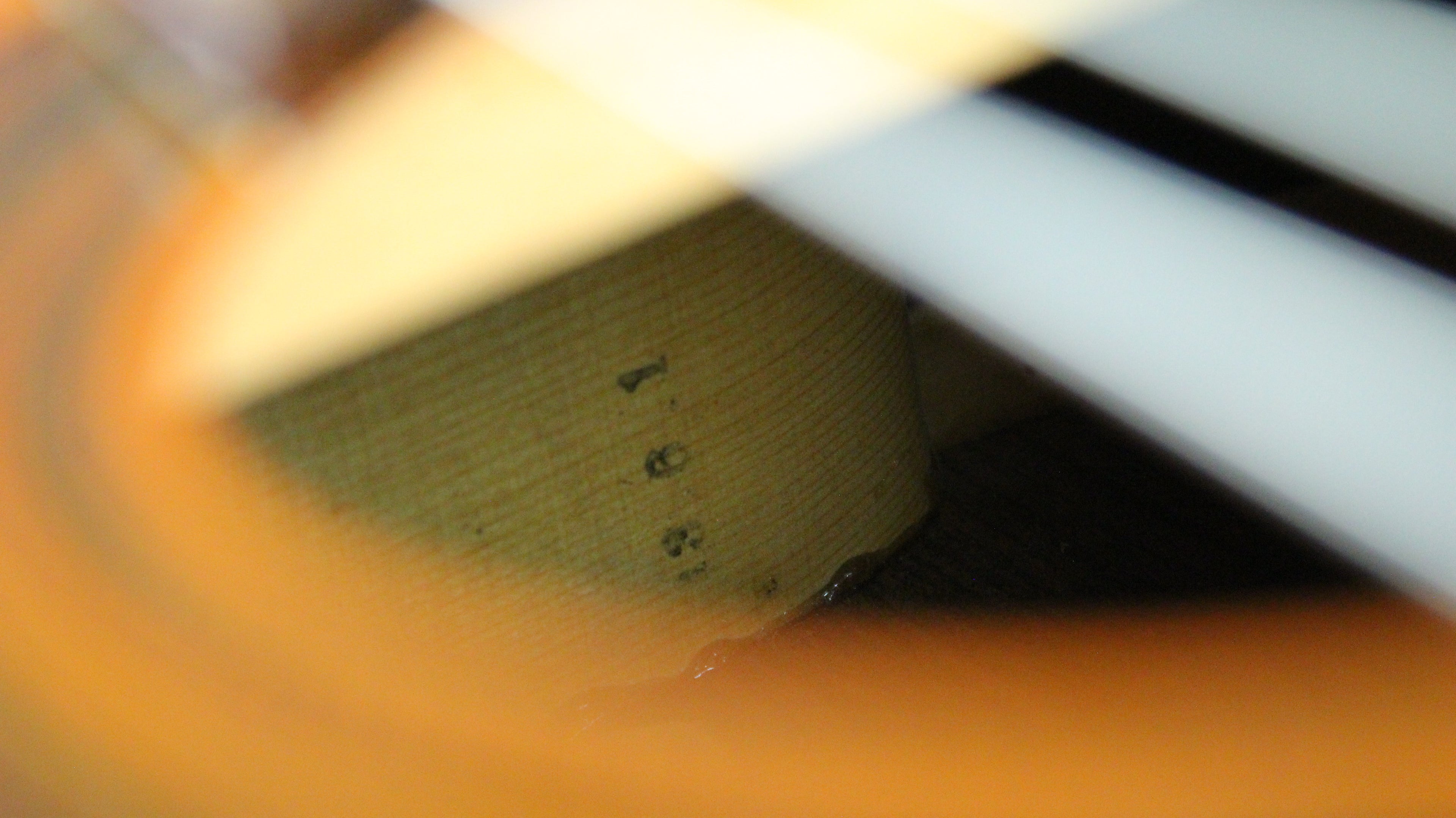 Suzuki No. 36 Japan Classical w/ Hard Case
