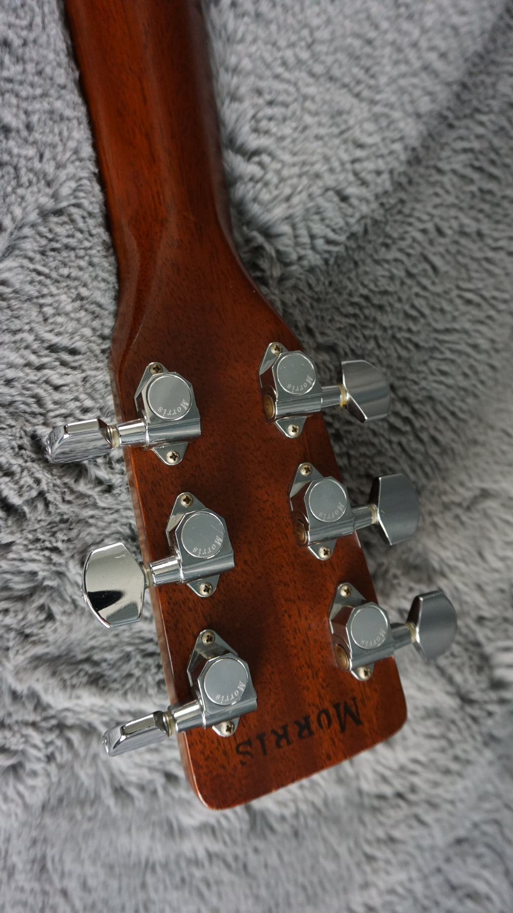TF Morris W-50 - Natural Japan Acoustic
