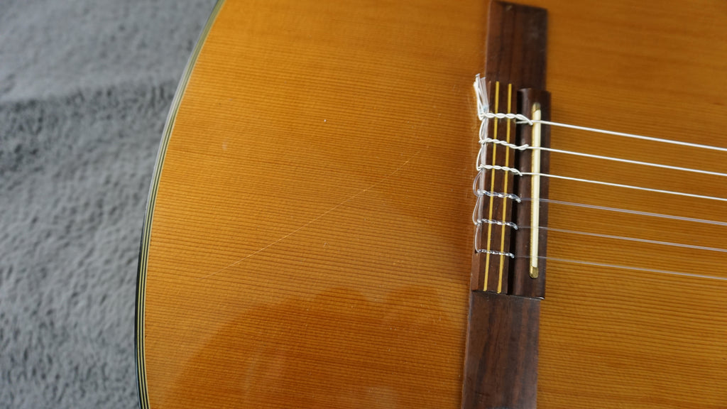 Vantage VC-20CE Classical Guitar w/ Hard Case
