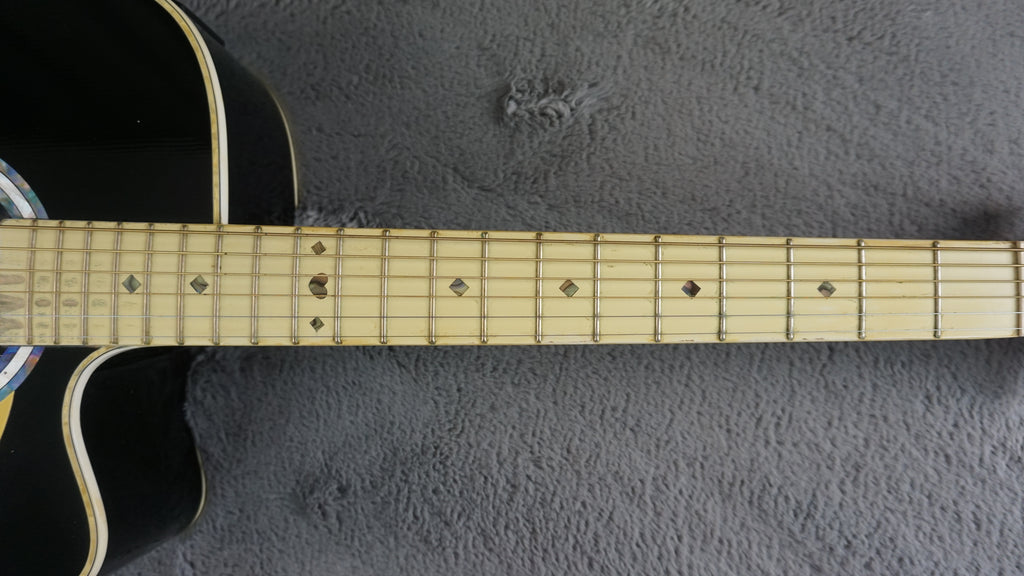 Esteban Vl-100 - Black Acoustic Guitar