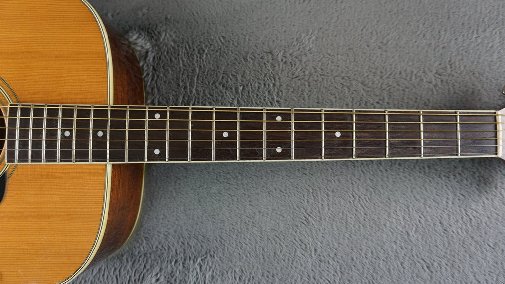 Morris MV-701 Vanguard Series Japan Acoustic