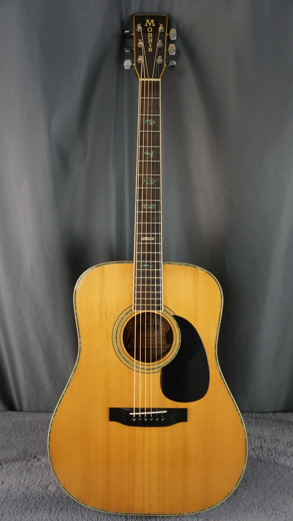 Morris W-40 Japan Solid Spruce Top w/ Fishman Electronics