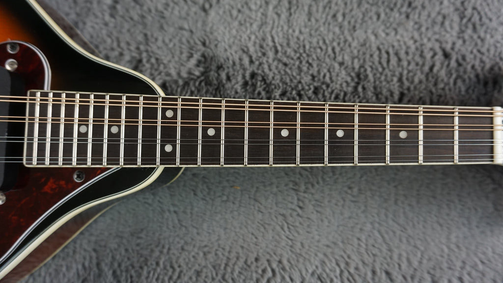 Aria AM-20E Japan Mandolin w/ Hard Case