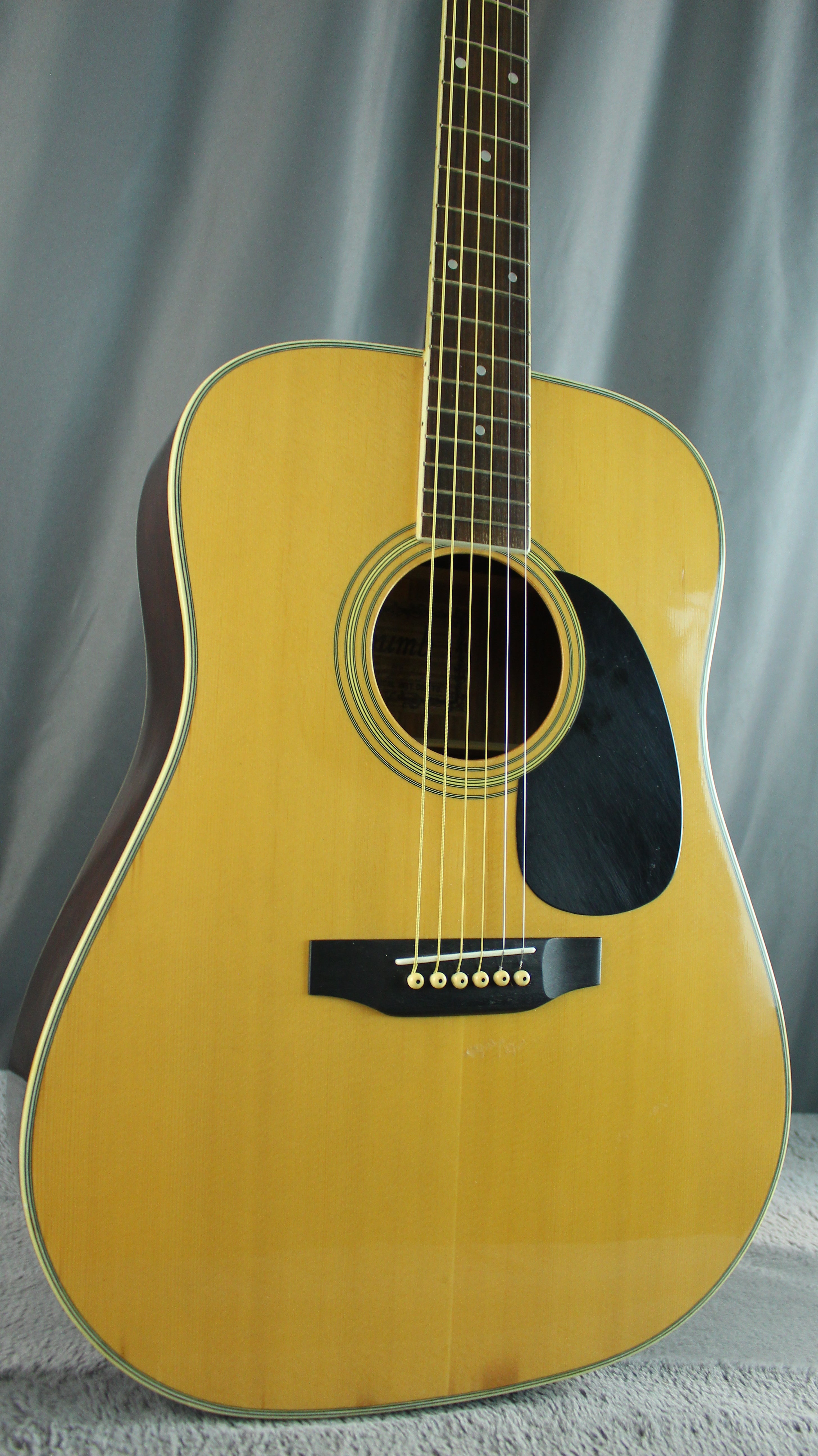 Thumb MW-20 1970s Terada MIJ Acoustic