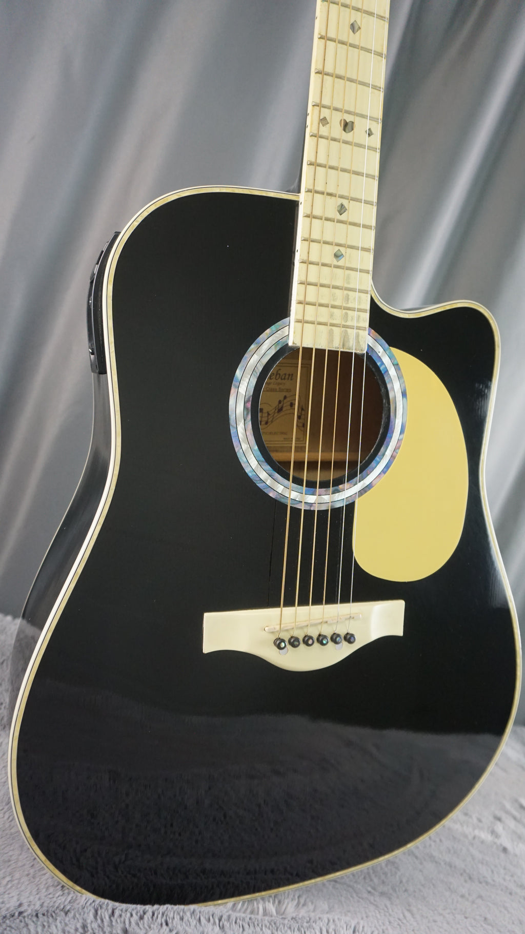 Esteban Vl-100 - Black Acoustic Guitar