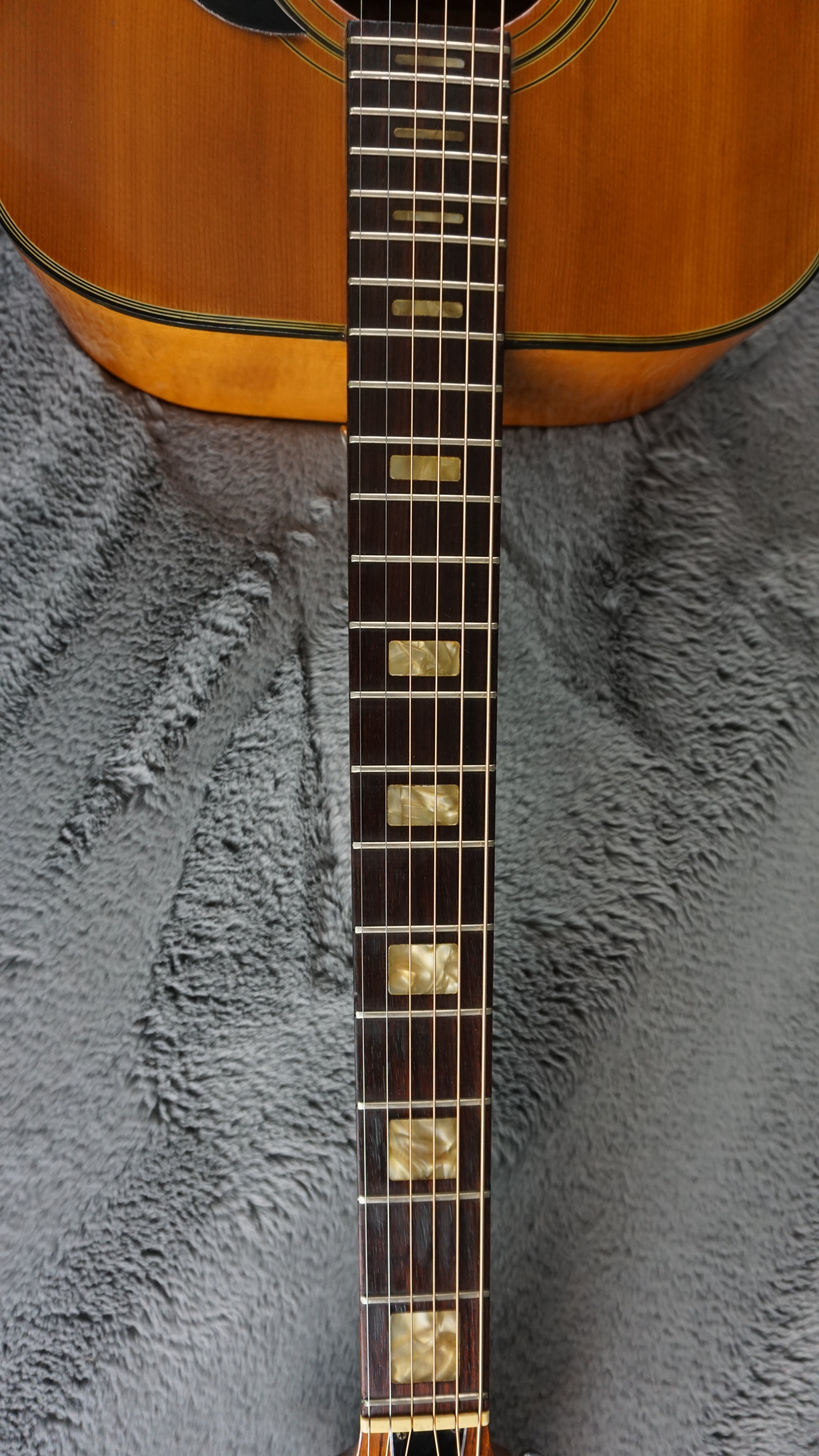 Tokai Hummingbird 180F Folk Guitar Japan Acoustic