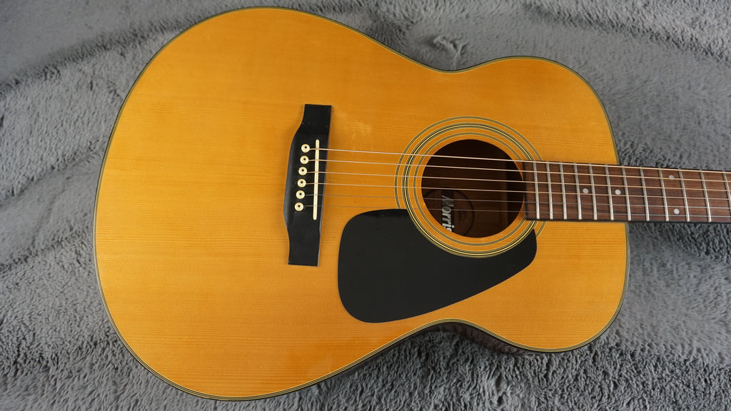 Morris MF-202N Japan Acoustic