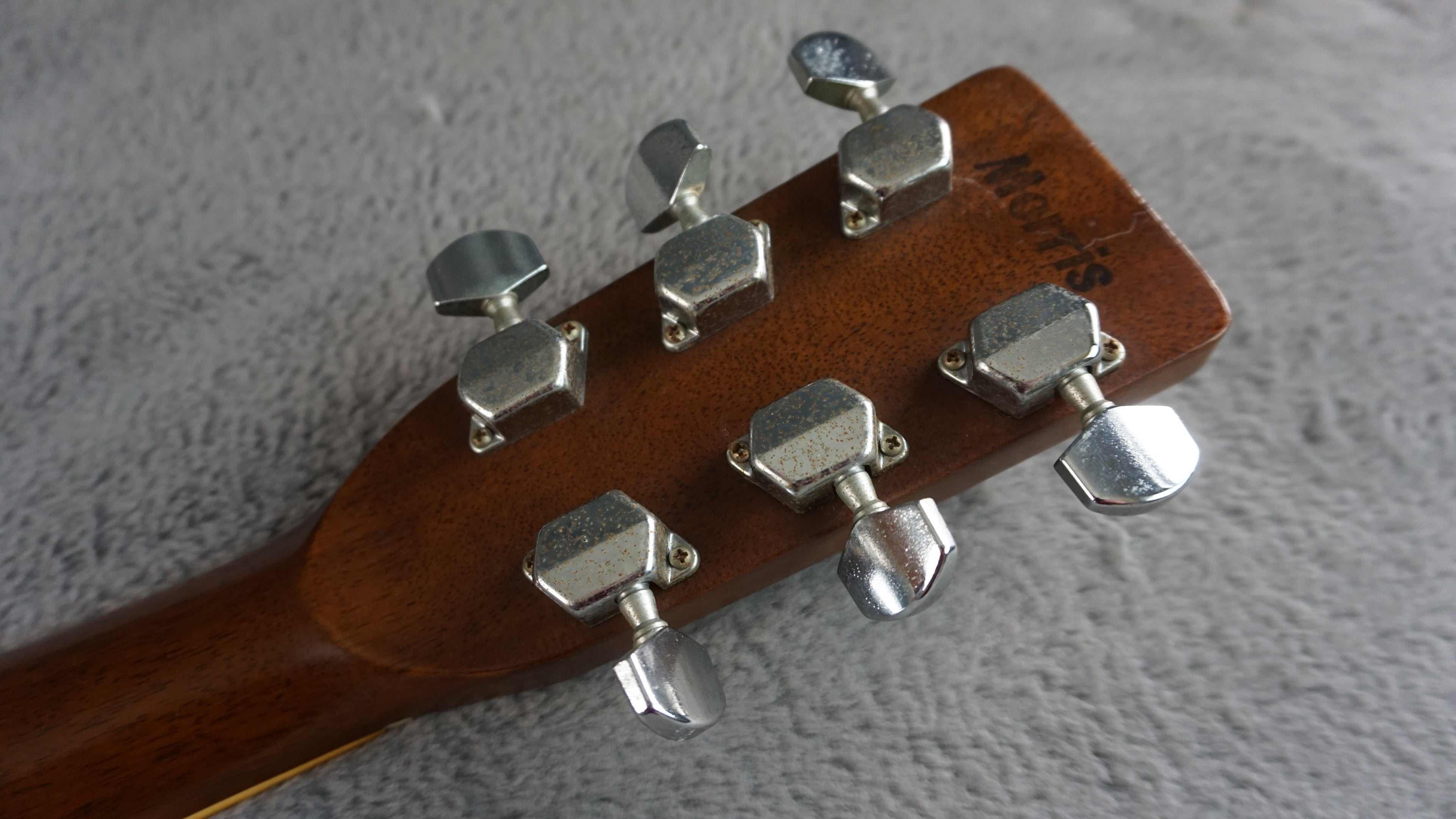 Morris MD-505 Japan Acoustic Guitar