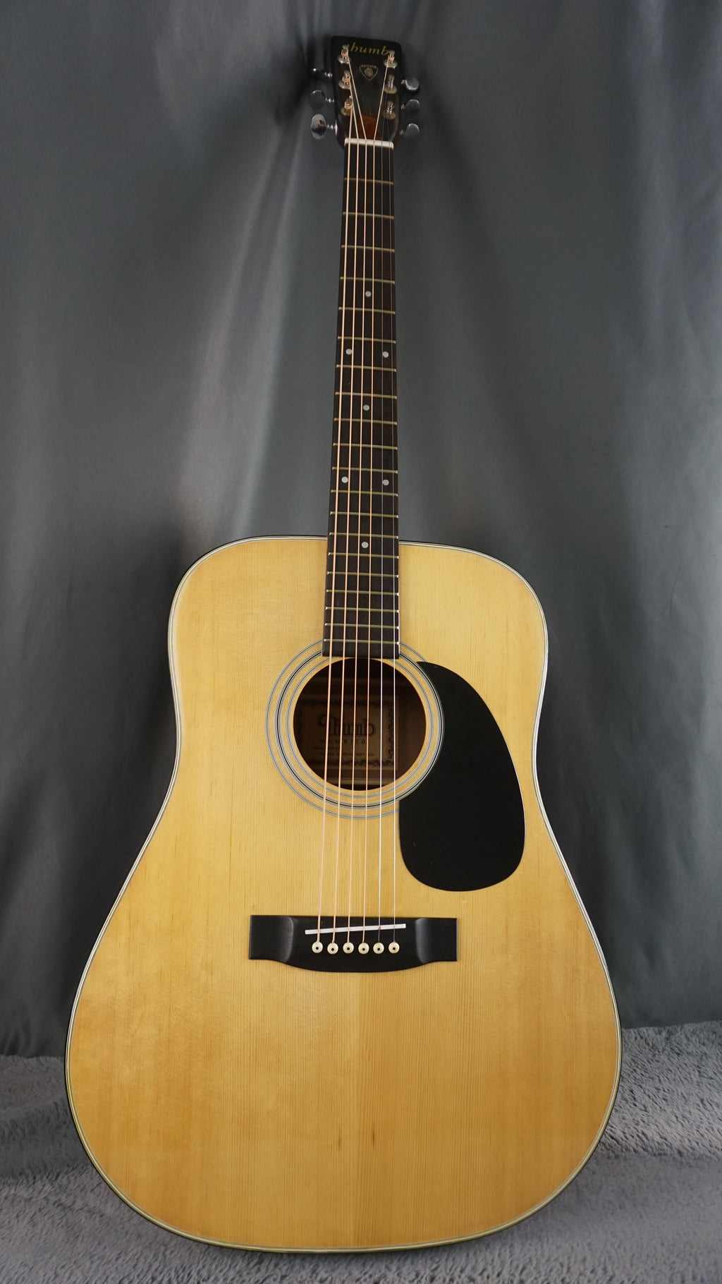 Thumb W-150 by Terada Japan Acoustic w/ Hard Case