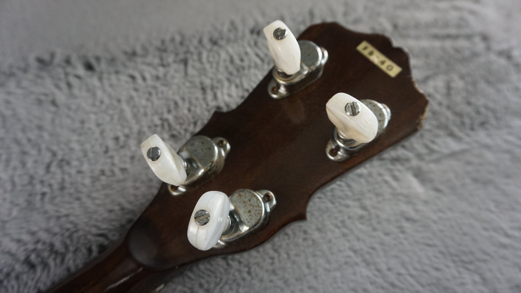Pirles FB-40 5-String Closed Back Banjo Japan