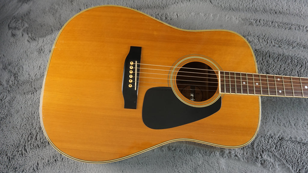 Morris MD-505 Japan Acoustic Guitar