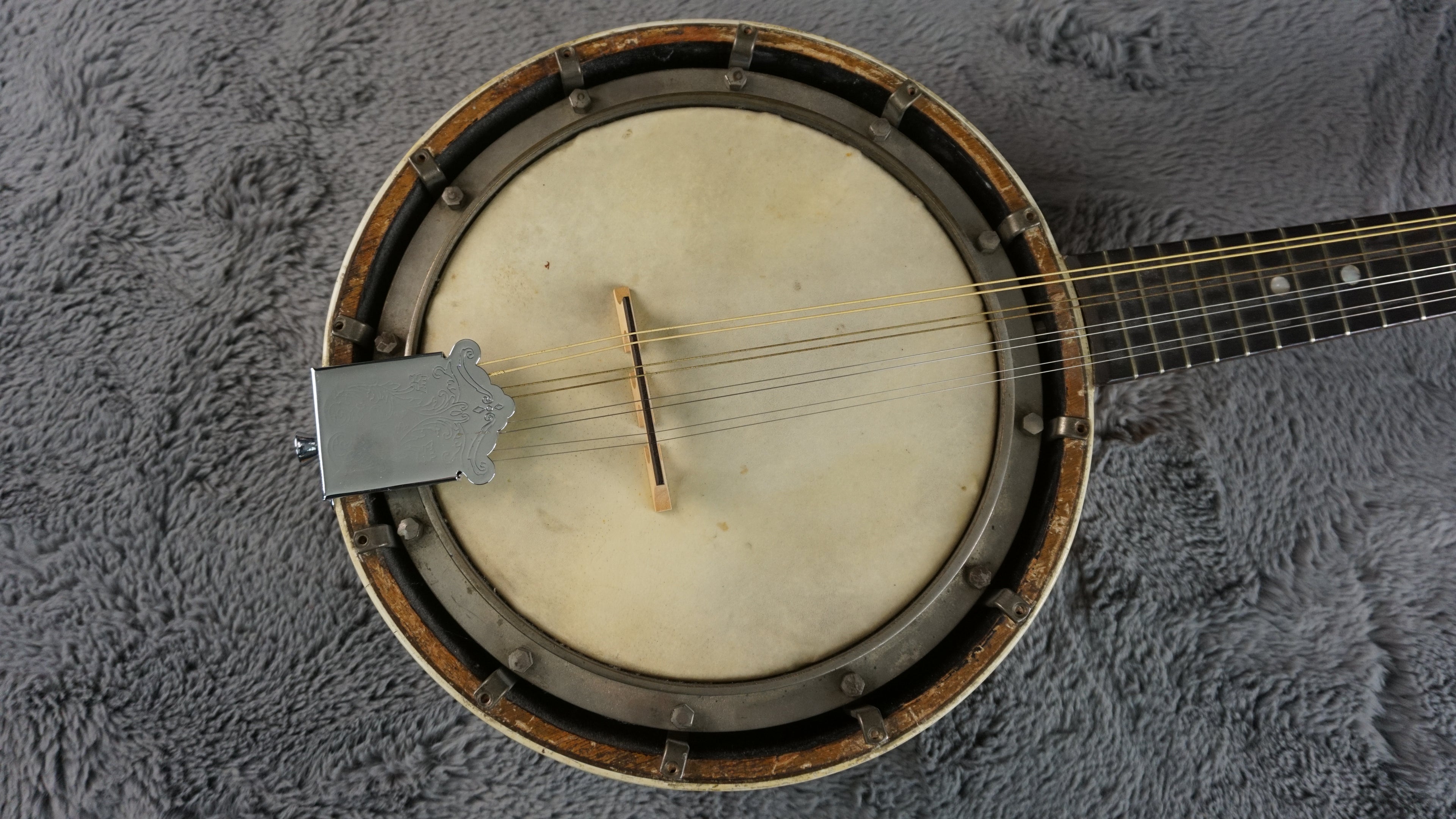 Vintage Closed Back Banjolin