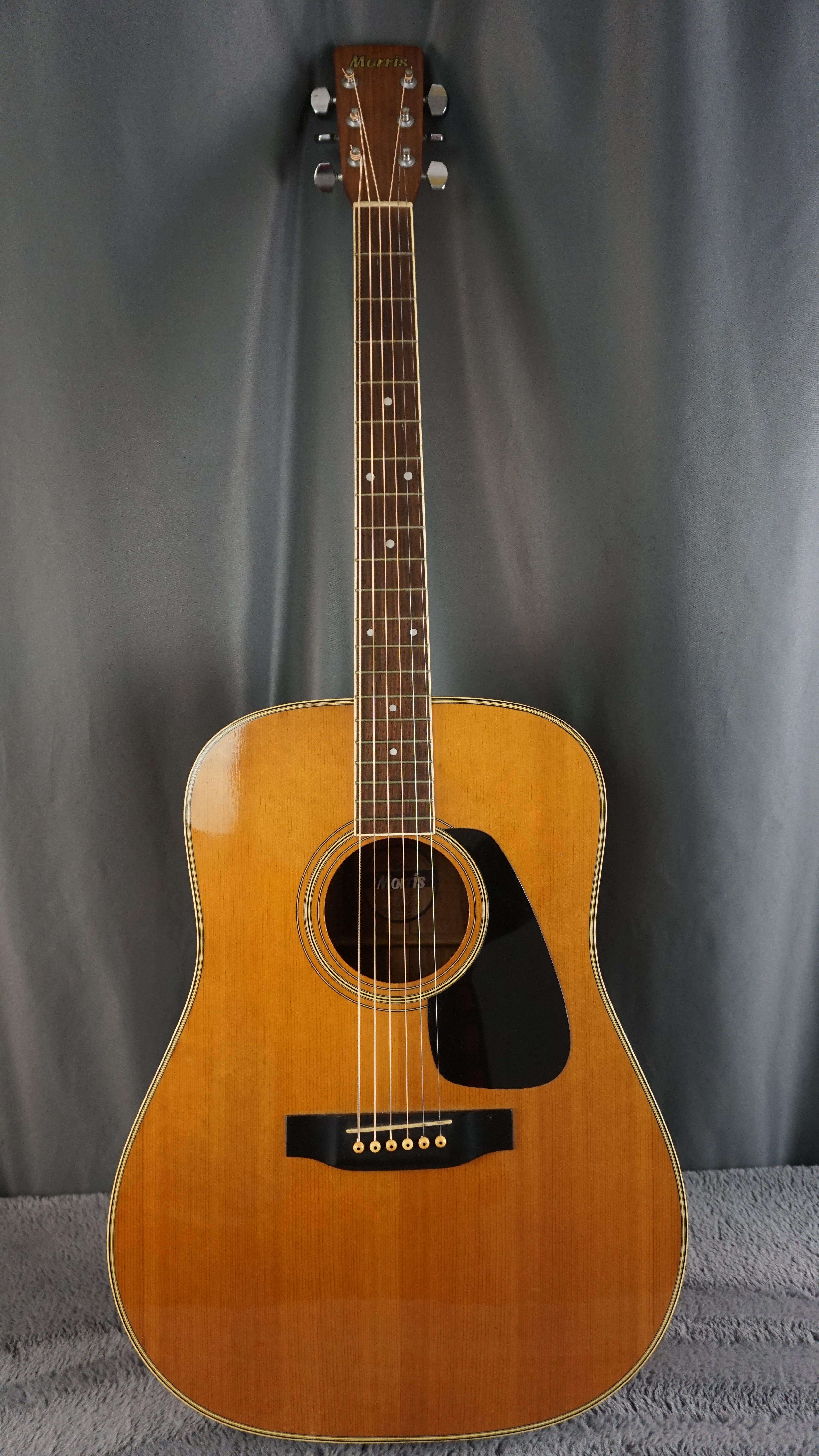 Morris MD-505 Japan Acoustic Guitar