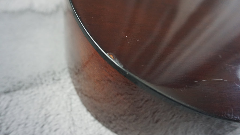 Westone F-13 Japan Acoustic