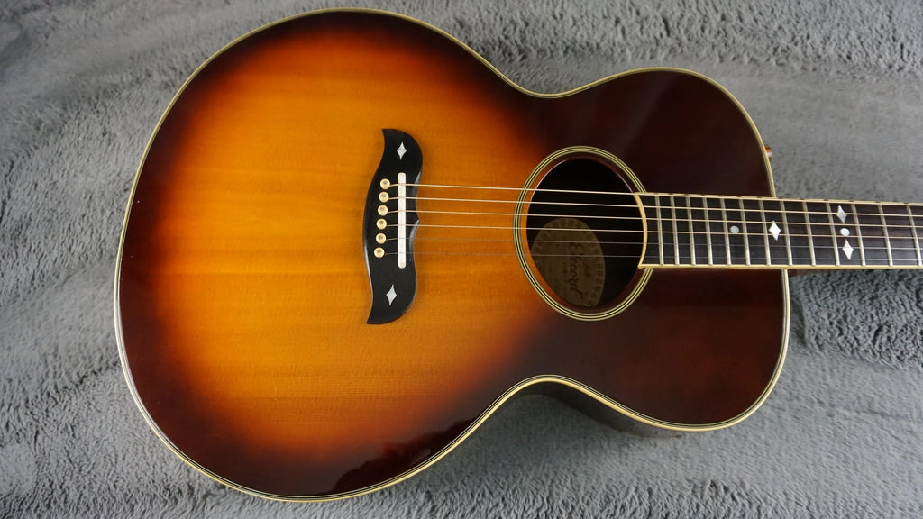 Aria Elecord FE-60 w/ Built-In Electronics w/ Hard Case