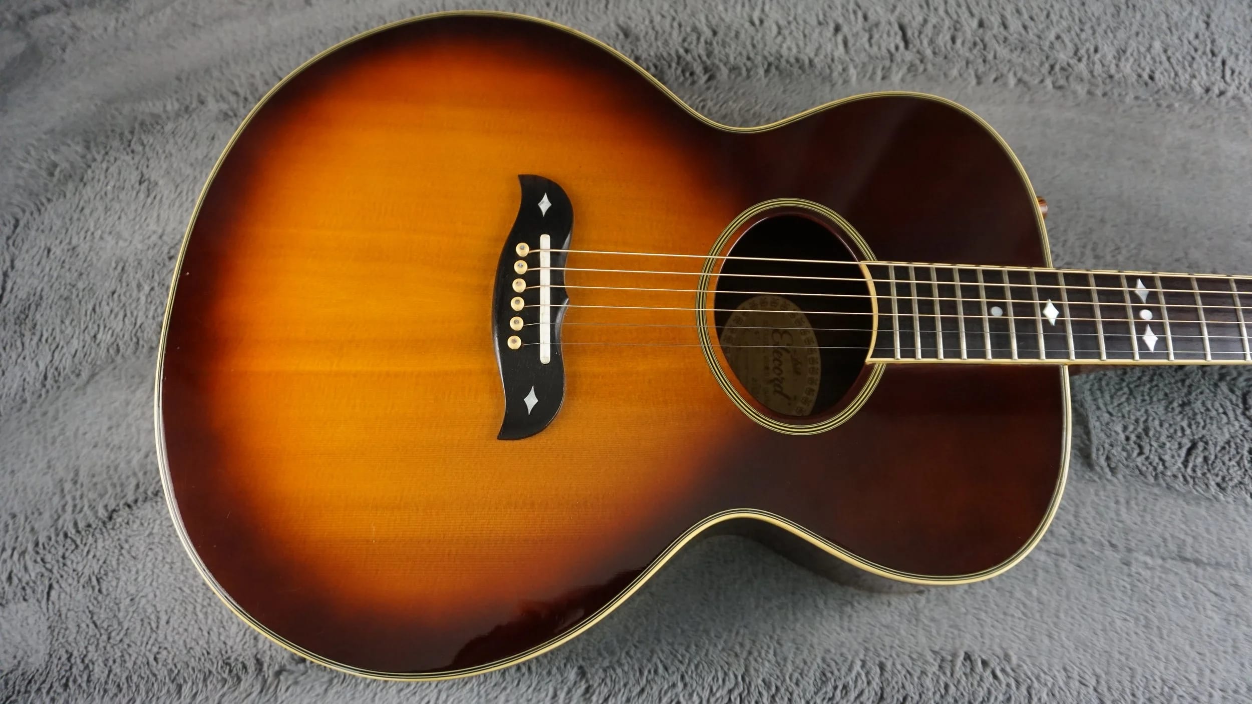 Aria Elecord FE-60 w/ Built-In Electronics w/ Hard Case