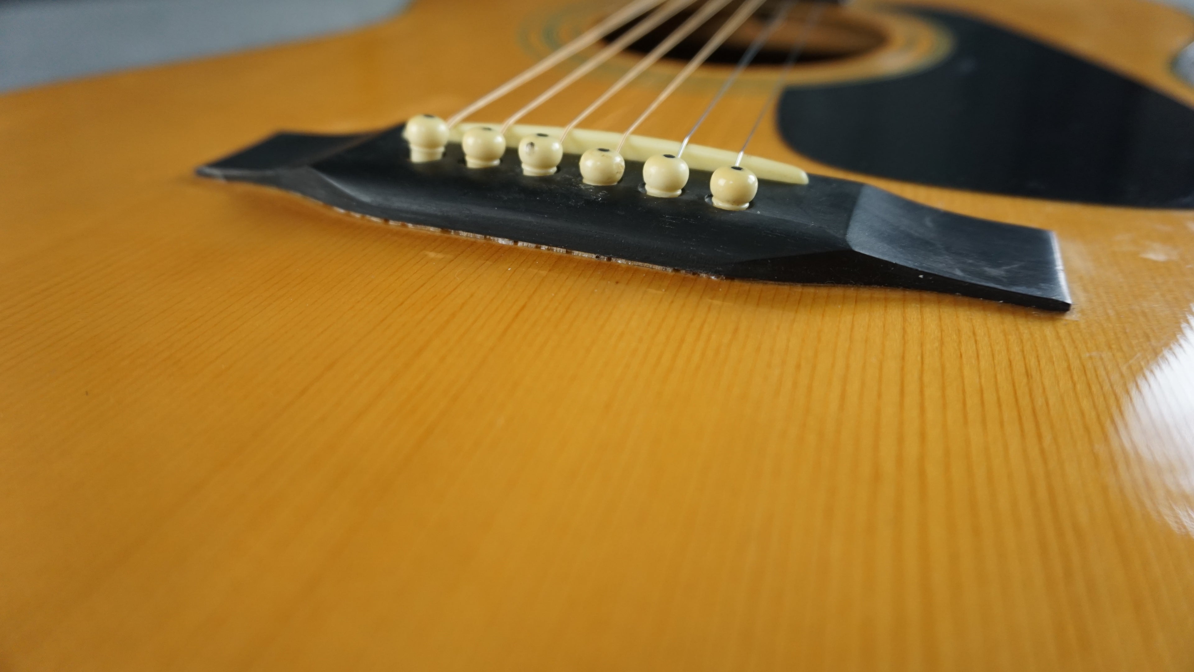 Morris MF-202N Japan Acoustic
