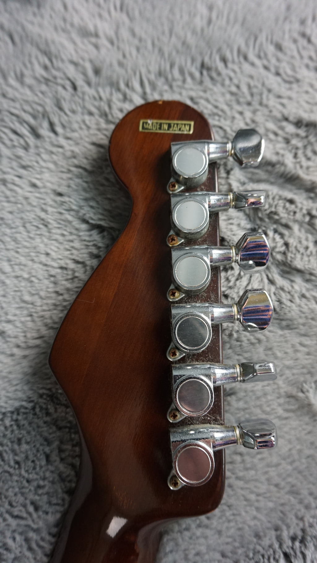 Daion D-B-55-TSB - Tobacco Sunburst Japan