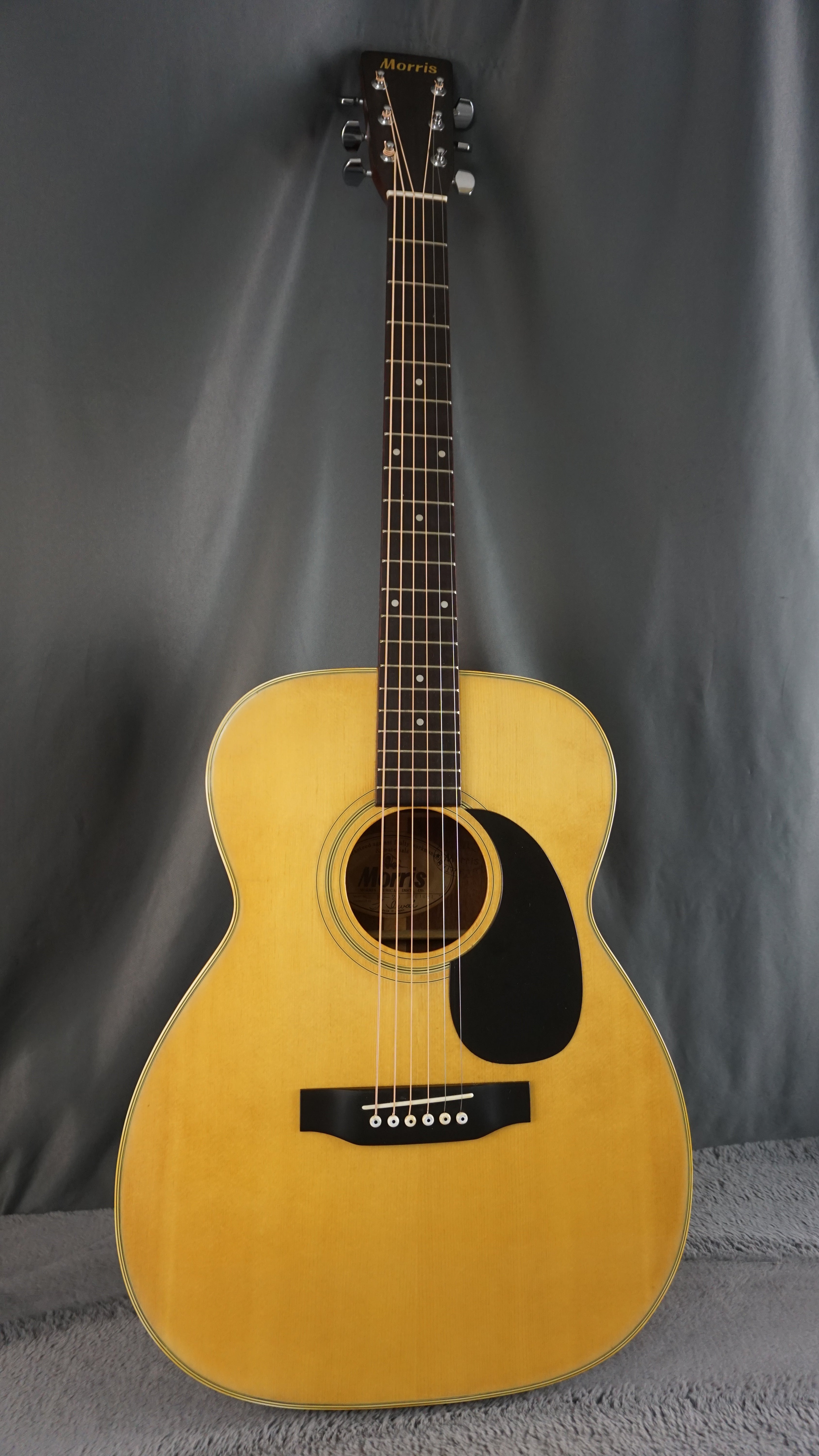 Morris F-20 Japan Acoustic