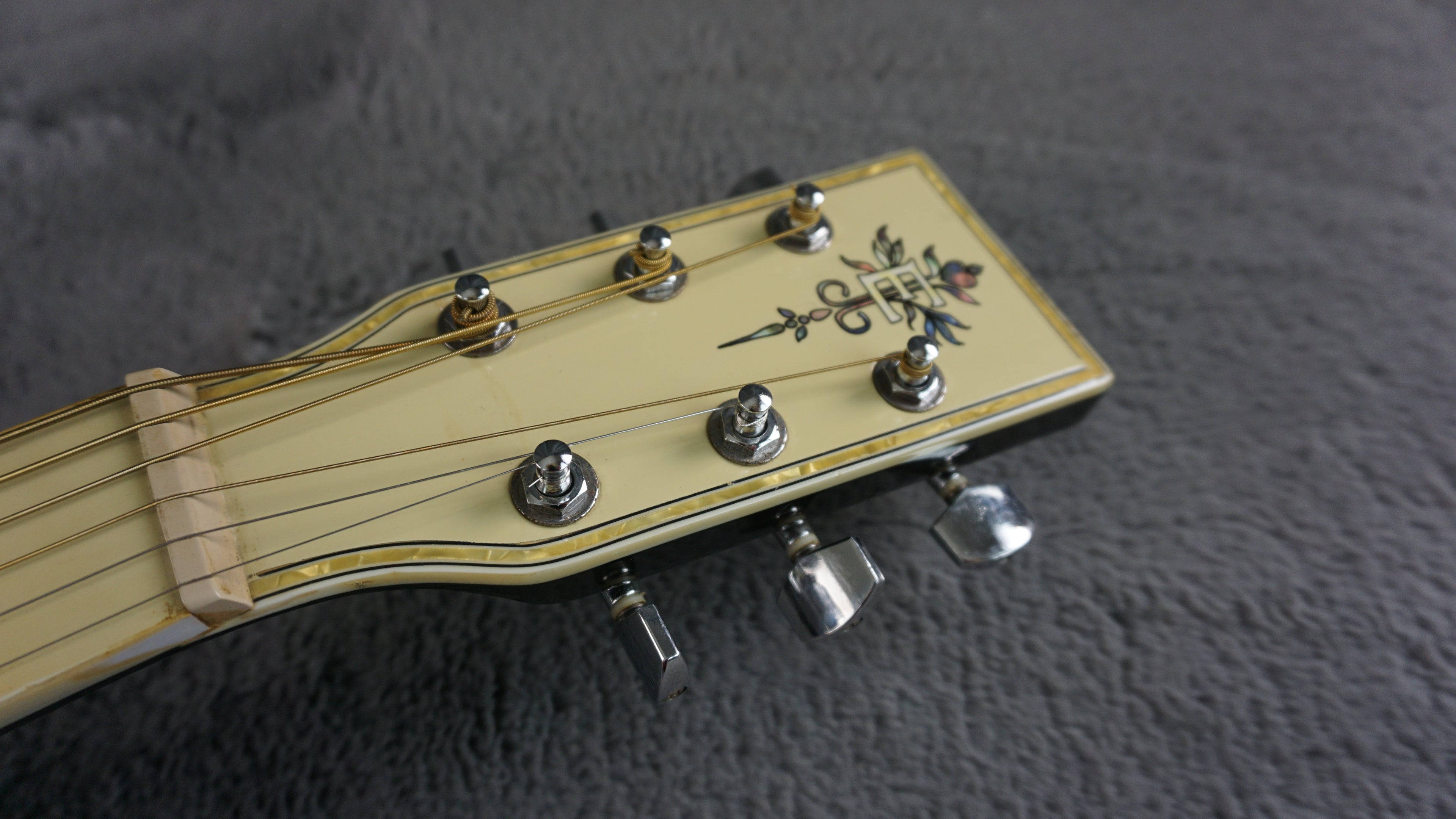 Esteban Vl-100 - Black Acoustic Guitar