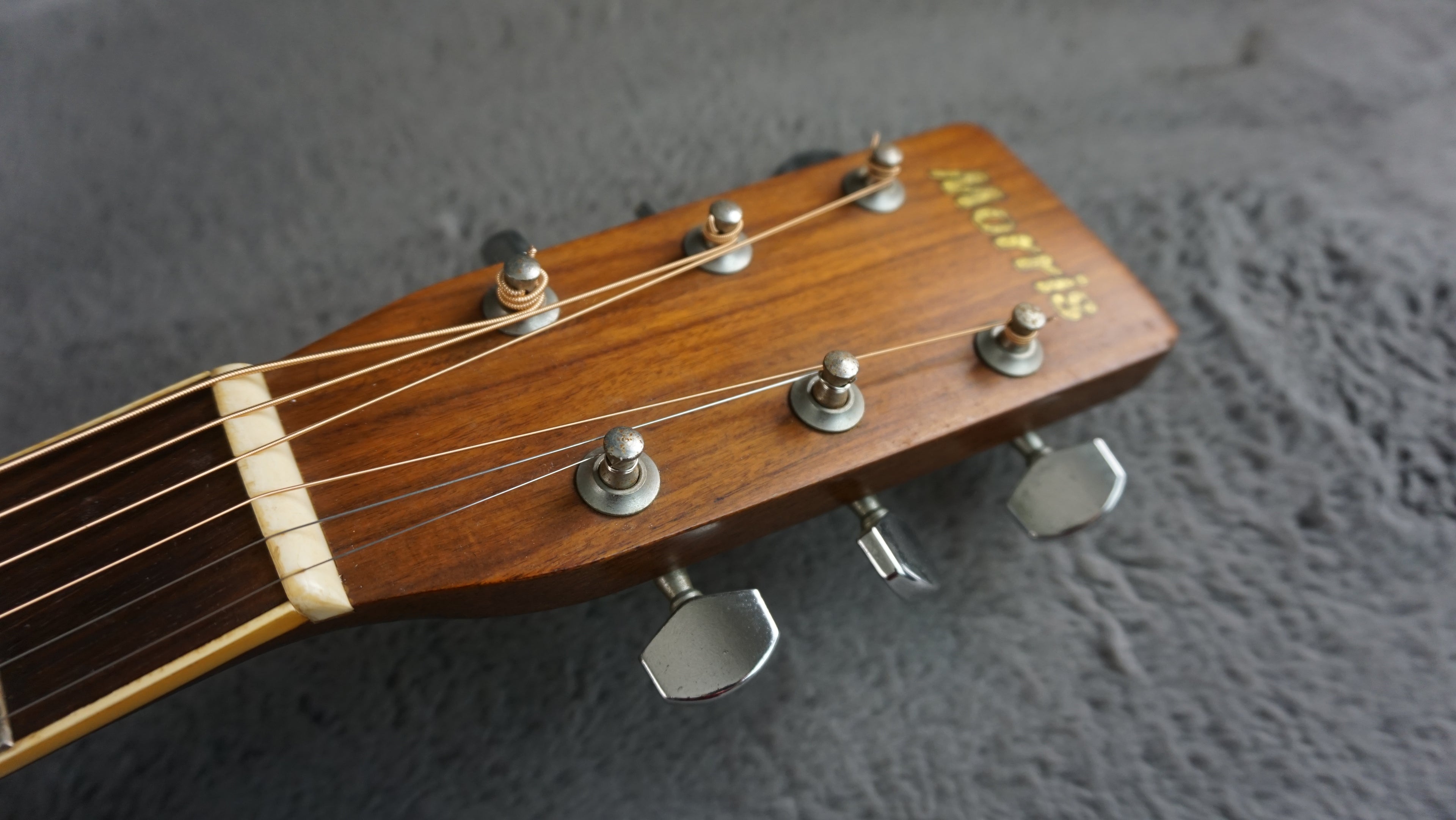 Morris MD-505 Japan Acoustic Guitar