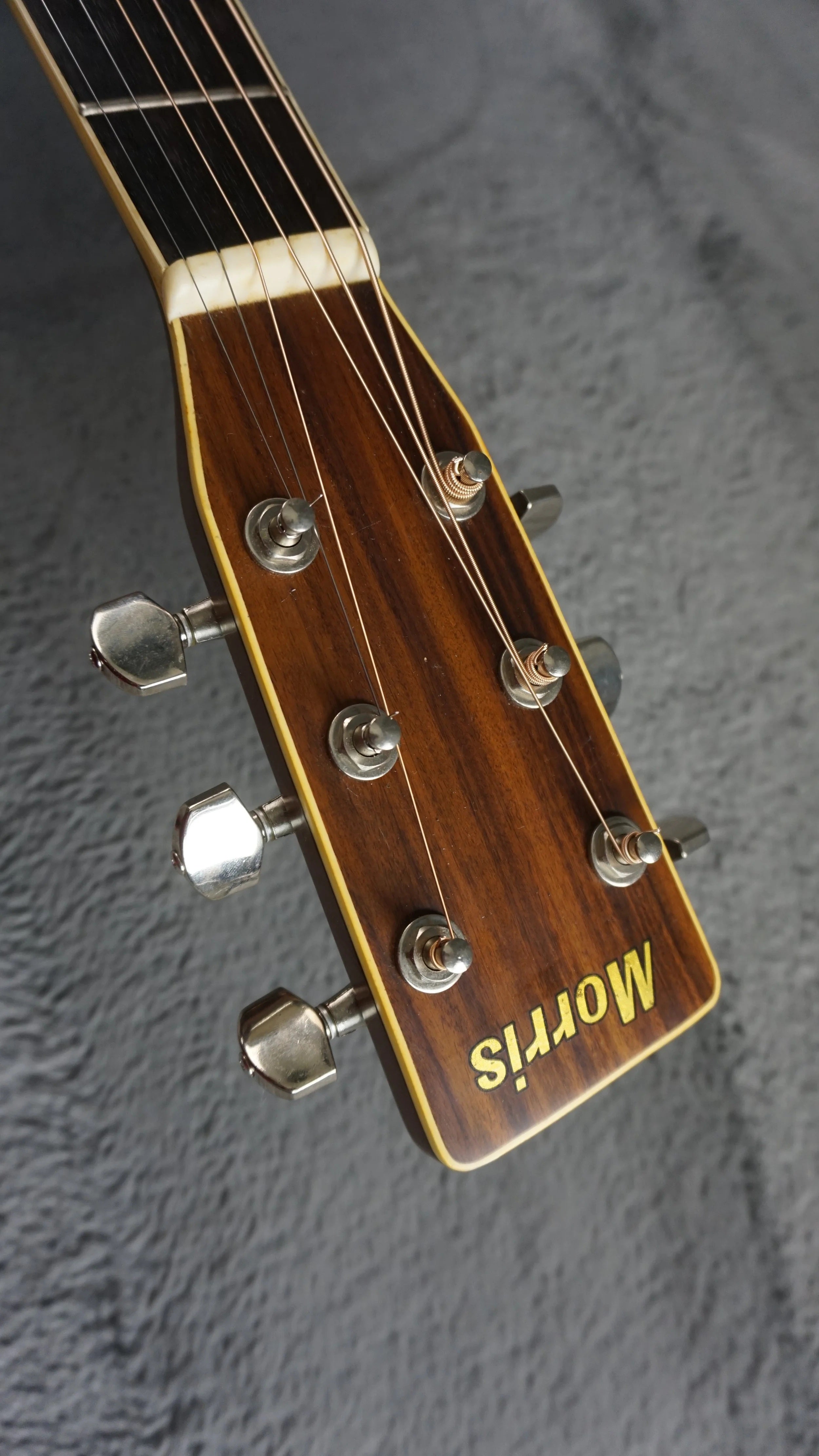Morris MD-510 TS Japan Acoustic