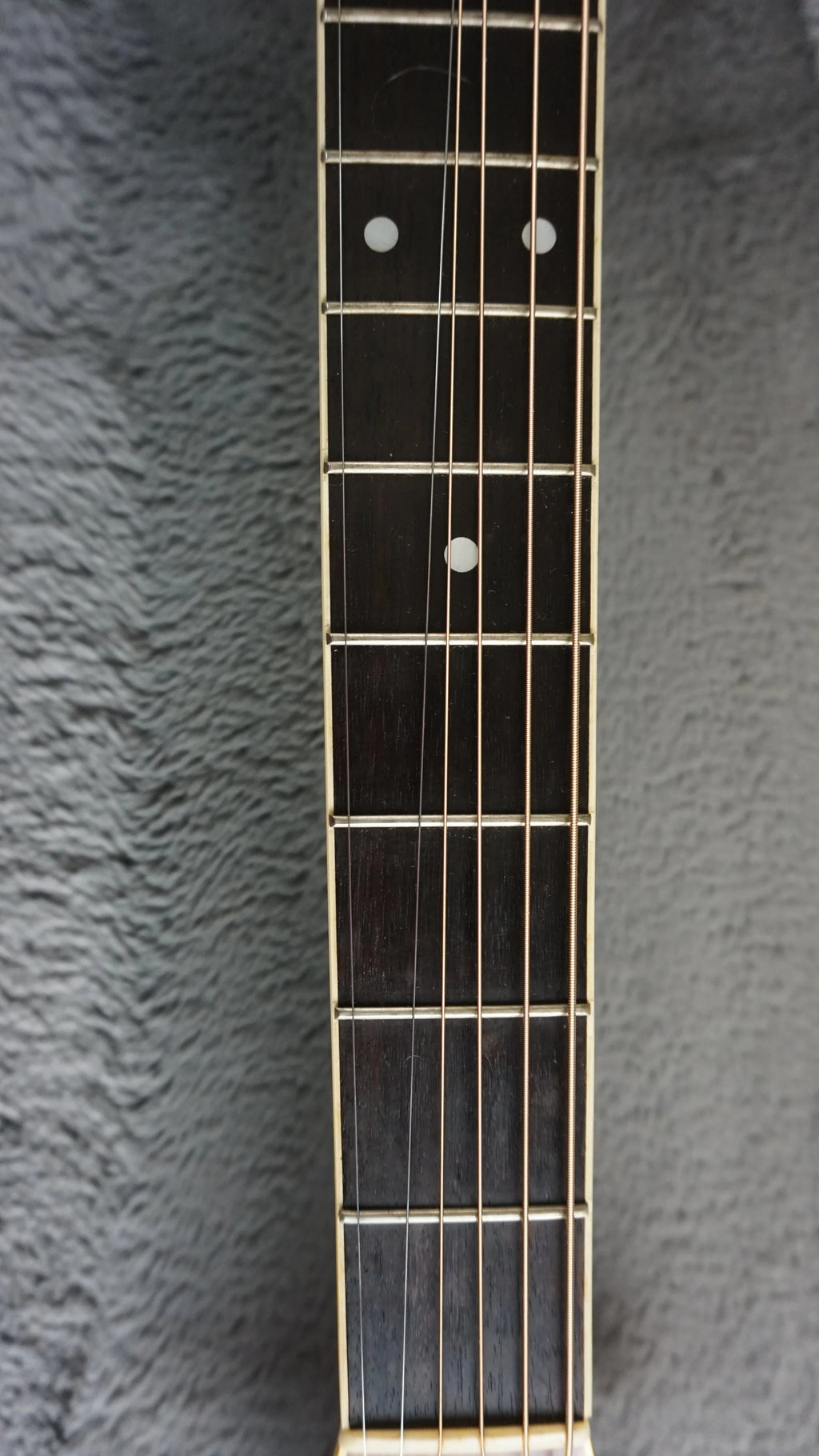 Morris MD-510 TS Japan Acoustic