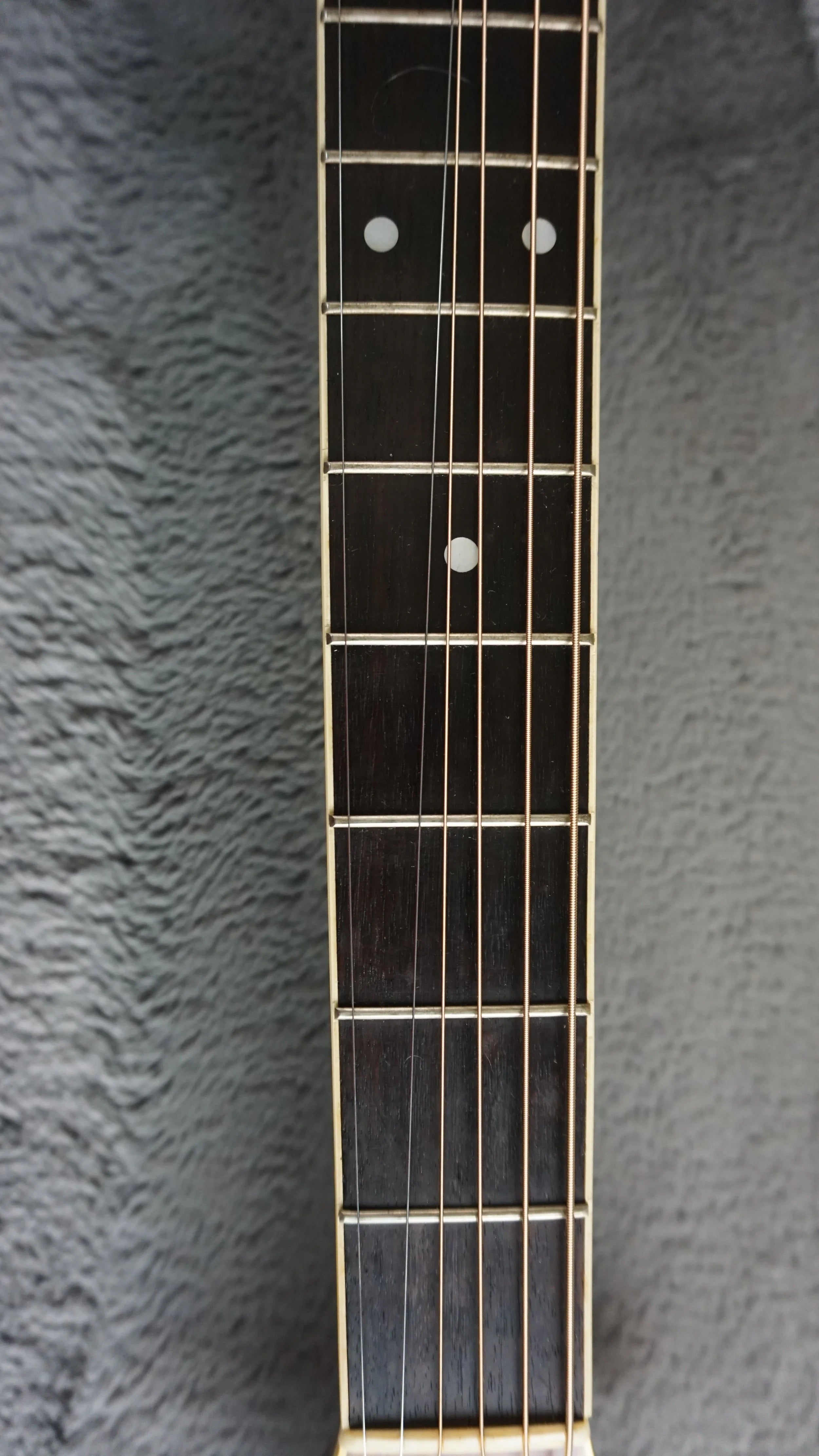 Morris MD-510 TS Japan Acoustic