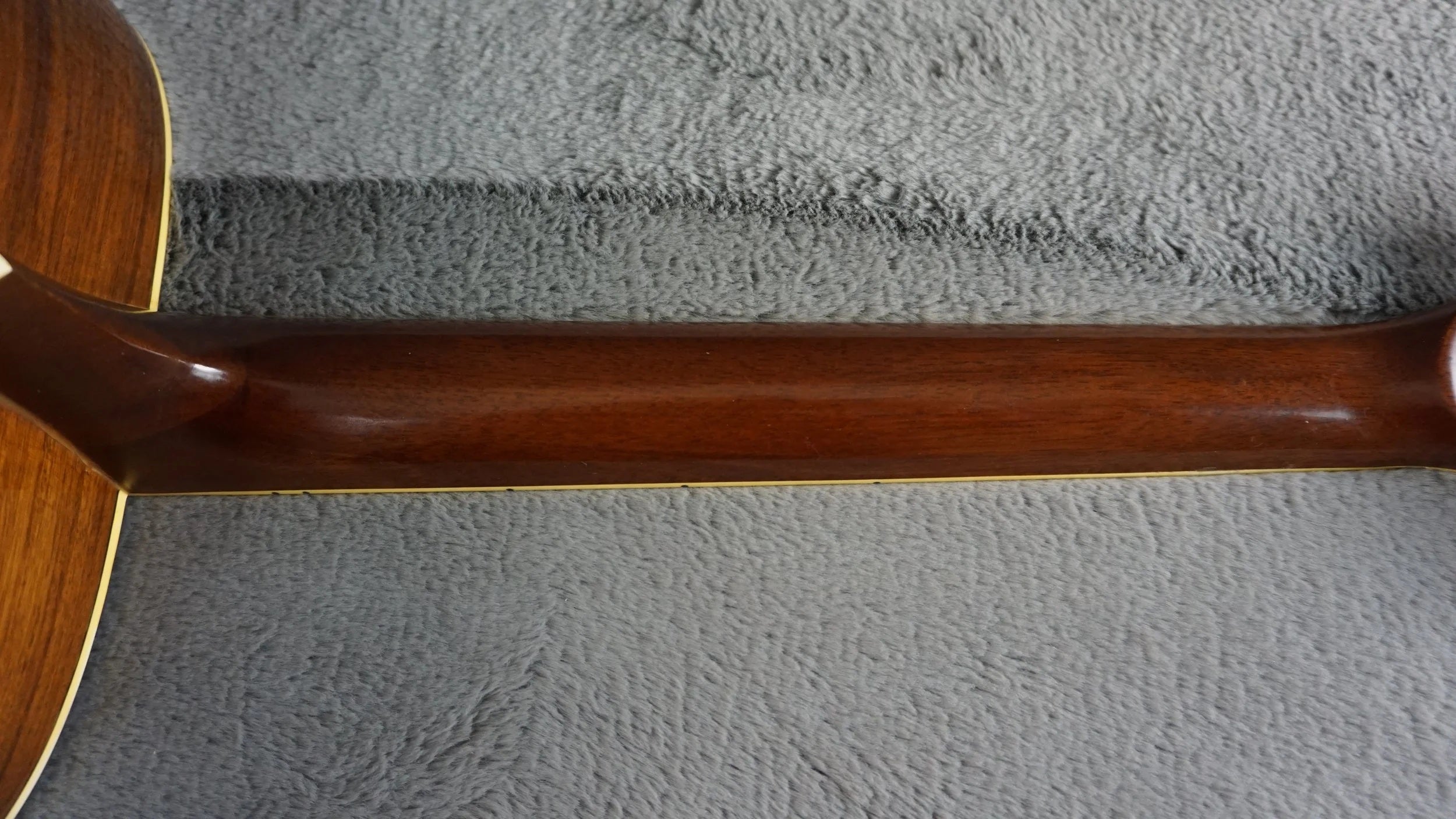 Morris MD-510 TS Japan Acoustic