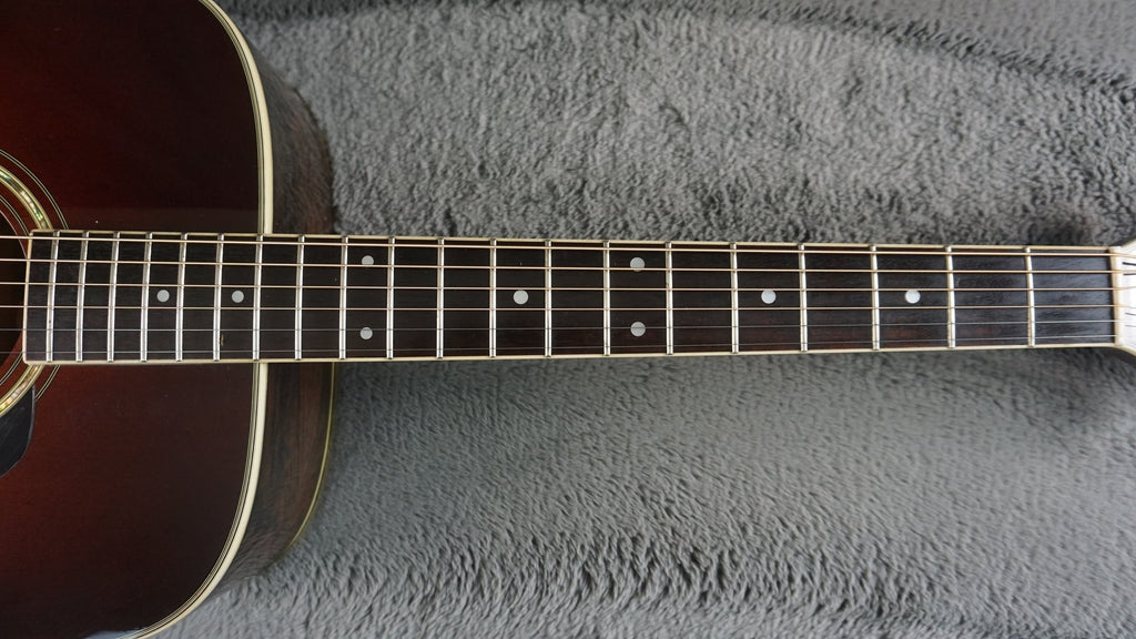 Morris TF-50SP Japan Acoustic Brazilian Rosewood w/ Hard Case