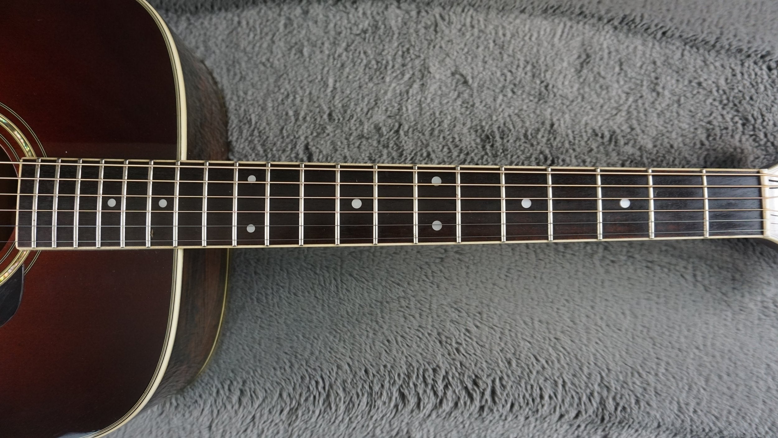 Morris TF-50SP Japan Acoustic Brazilian Rosewood w/ Hard Case