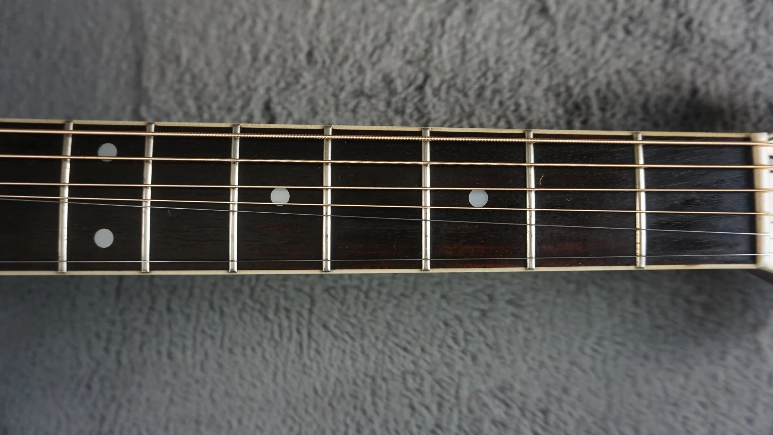 Morris TF-50SP Japan Acoustic Brazilian Rosewood w/ Hard Case