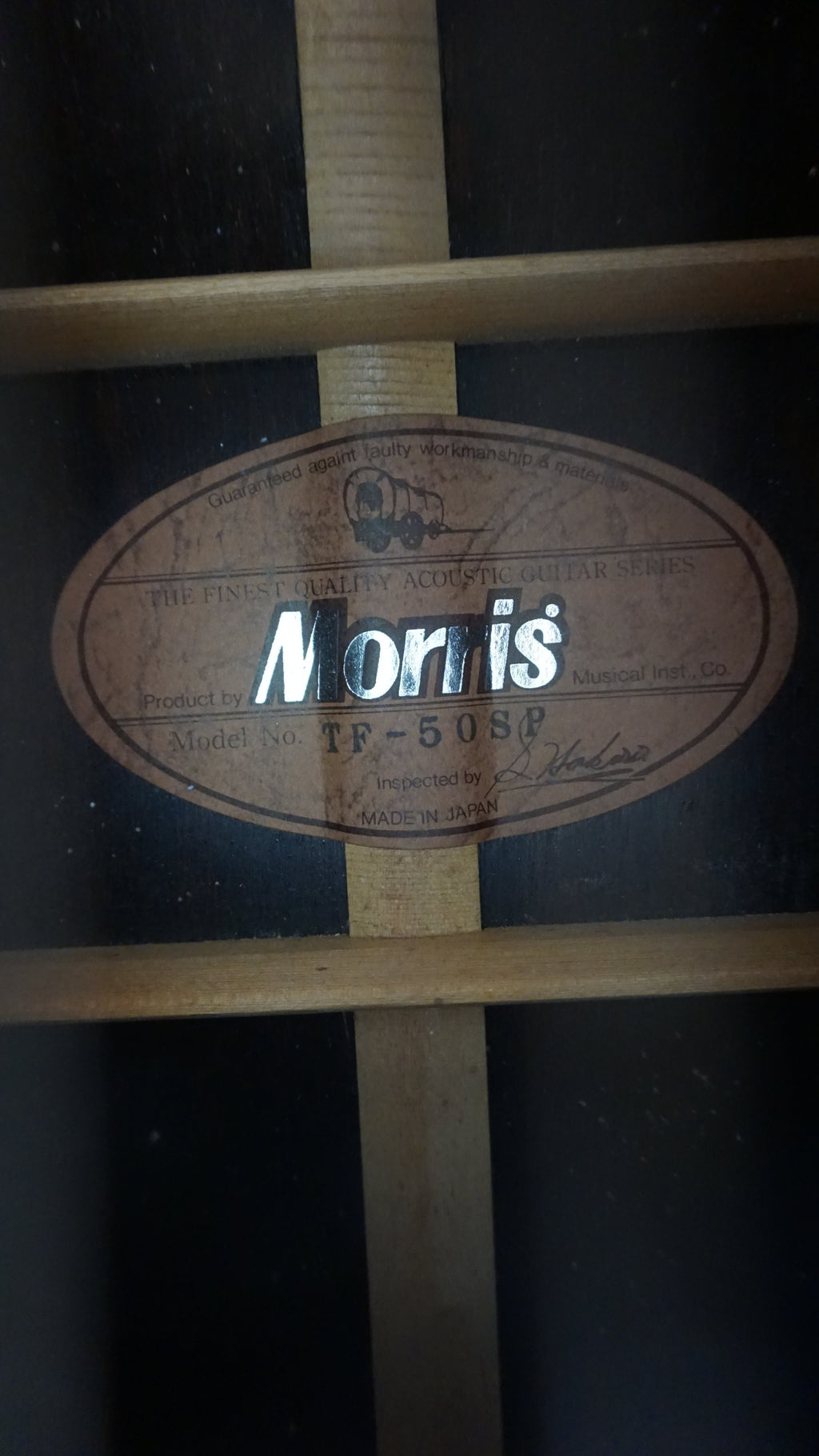 Morris TF-50SP Japan Acoustic Brazilian Rosewood w/ Hard Case