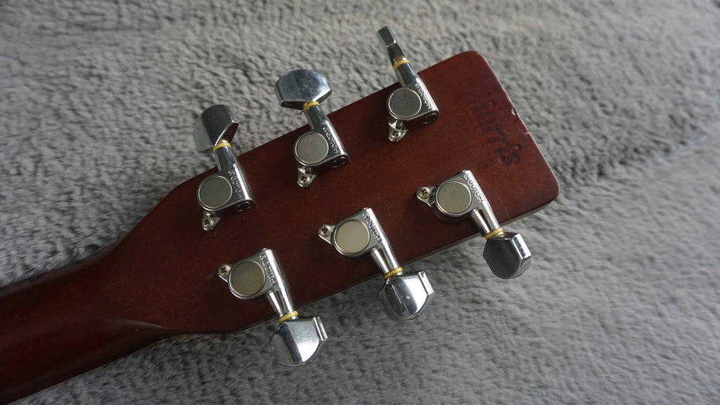 Morris TF-50SP Japan Acoustic Brazilian Rosewood w/ Hard Case
