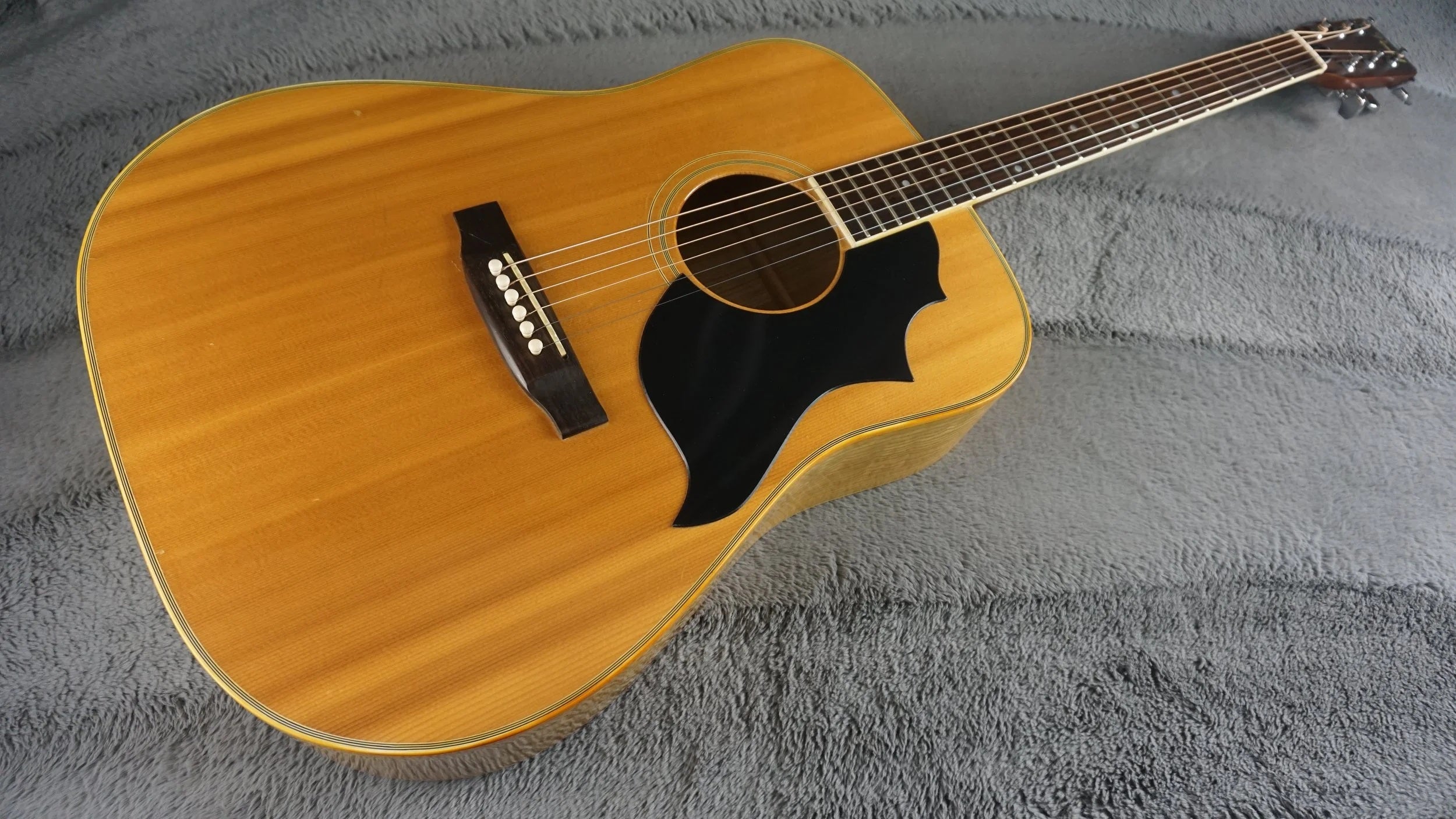 Pearl Folk Acoustic Guitar - Curly Maple - Japan Acoustic Guitar w/ Hard Case