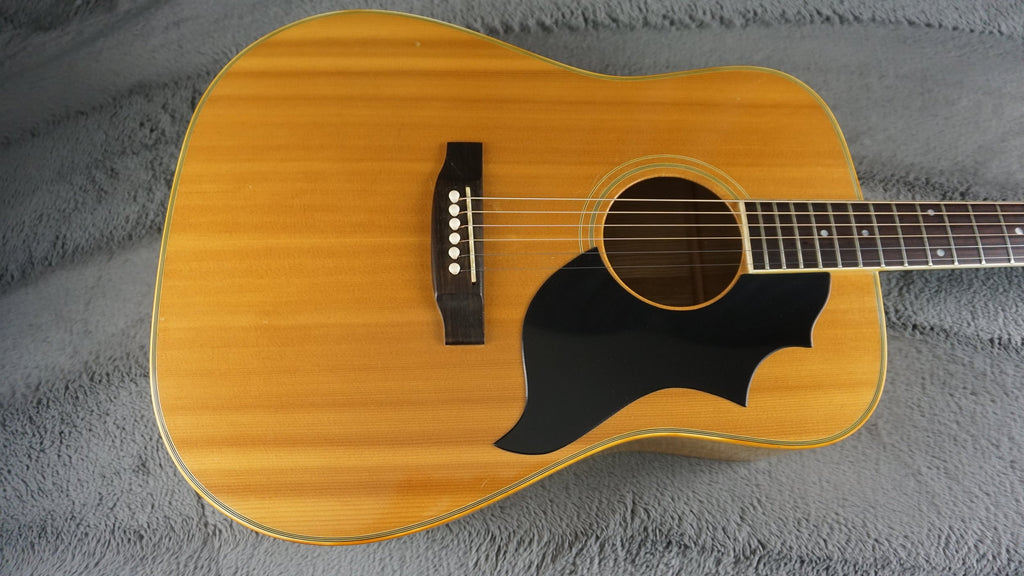 Pearl Folk Acoustic Guitar - Curly Maple - Japan Acoustic Guitar w/ Hard Case