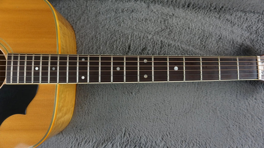 Pearl Folk Acoustic Guitar - Curly Maple - Japan Acoustic Guitar w/ Hard Case