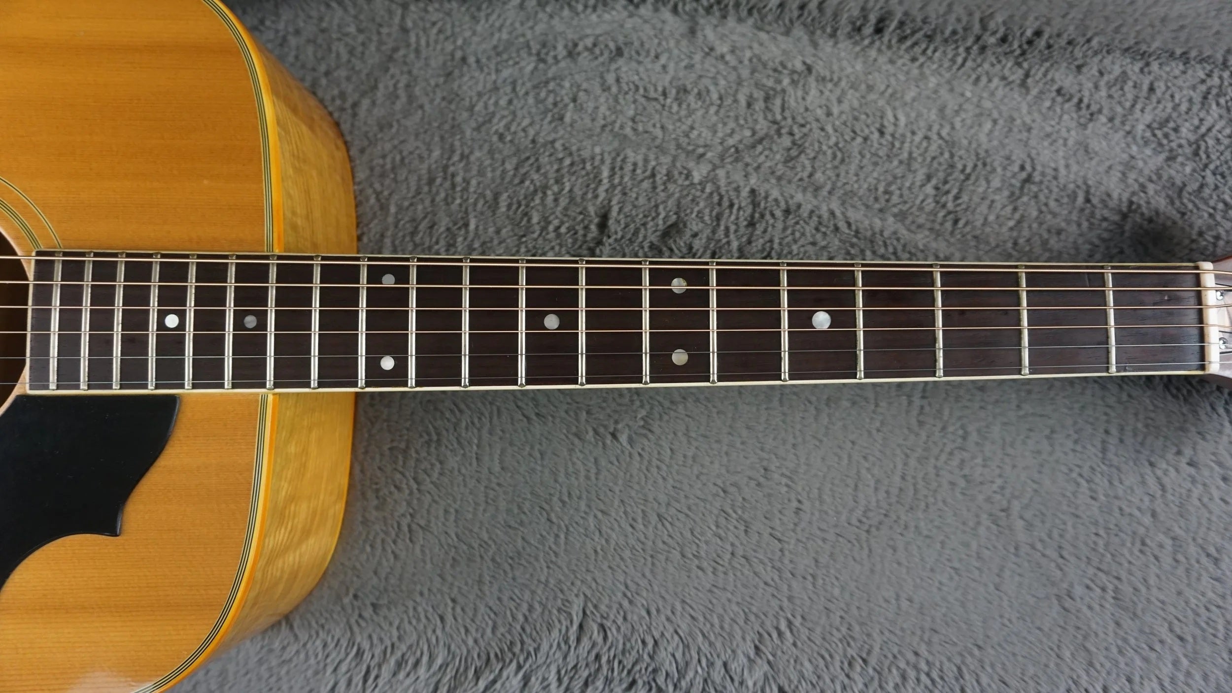Pearl Folk Acoustic Guitar - Curly Maple - Japan Acoustic Guitar w/ Hard Case
