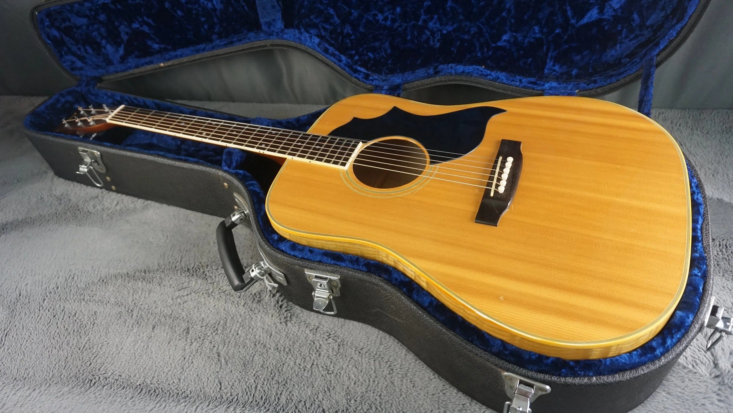 Pearl Folk Acoustic Guitar - Curly Maple - Japan Acoustic Guitar w/ Hard Case