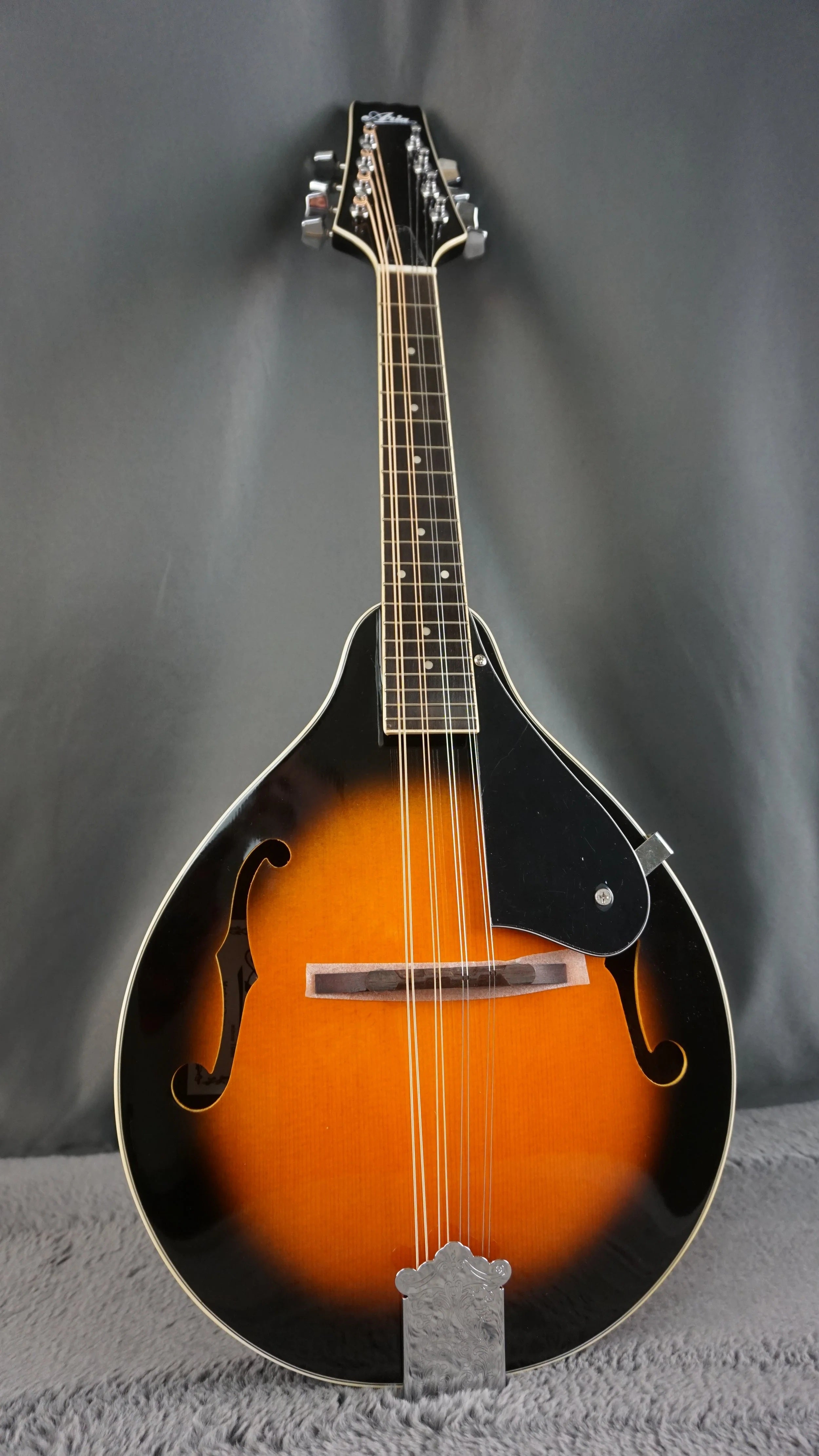 Aria AM-20 Japan Mandolin w/ Hard Case