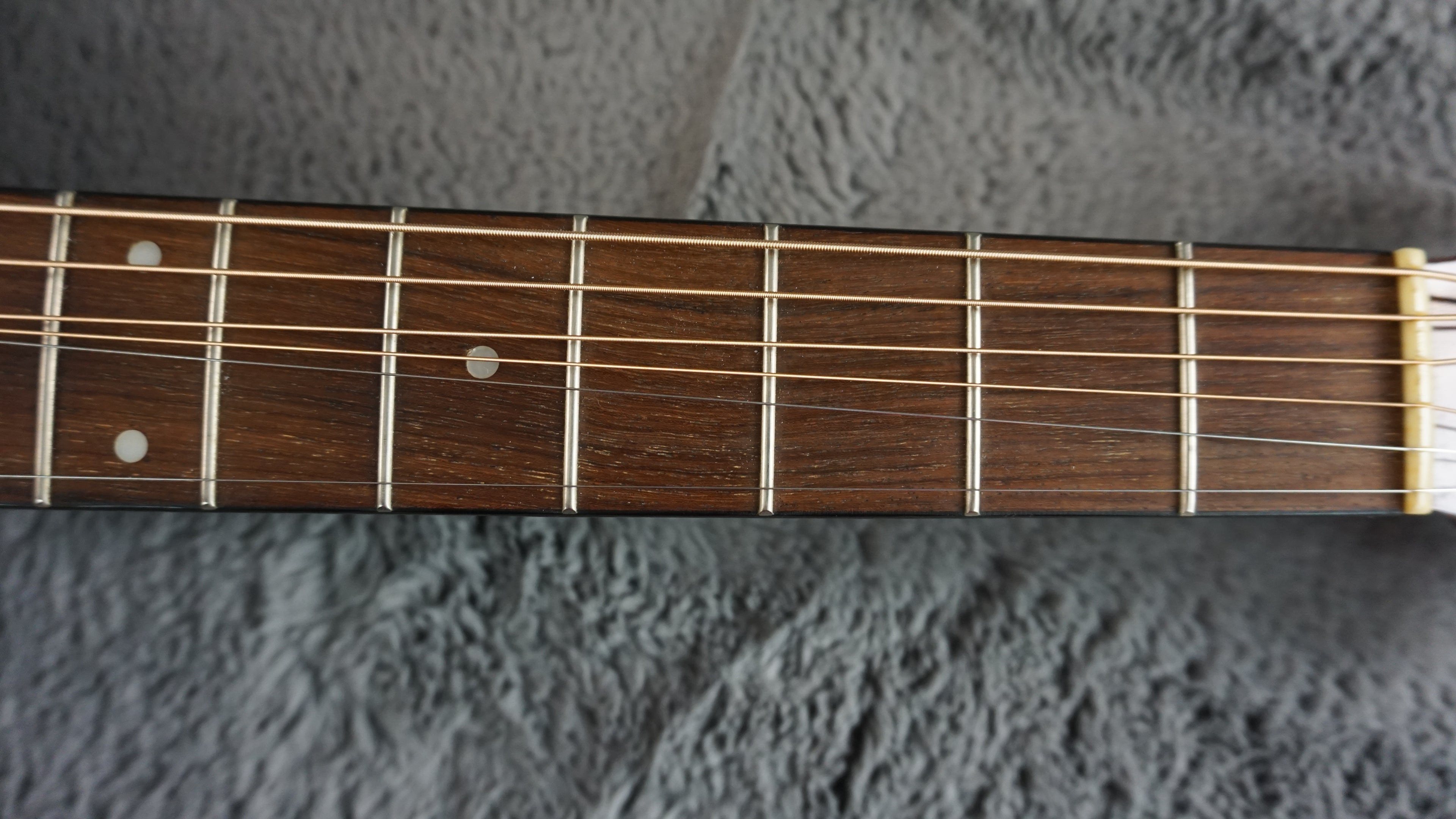 Morris MF-202N Japan Acoustic