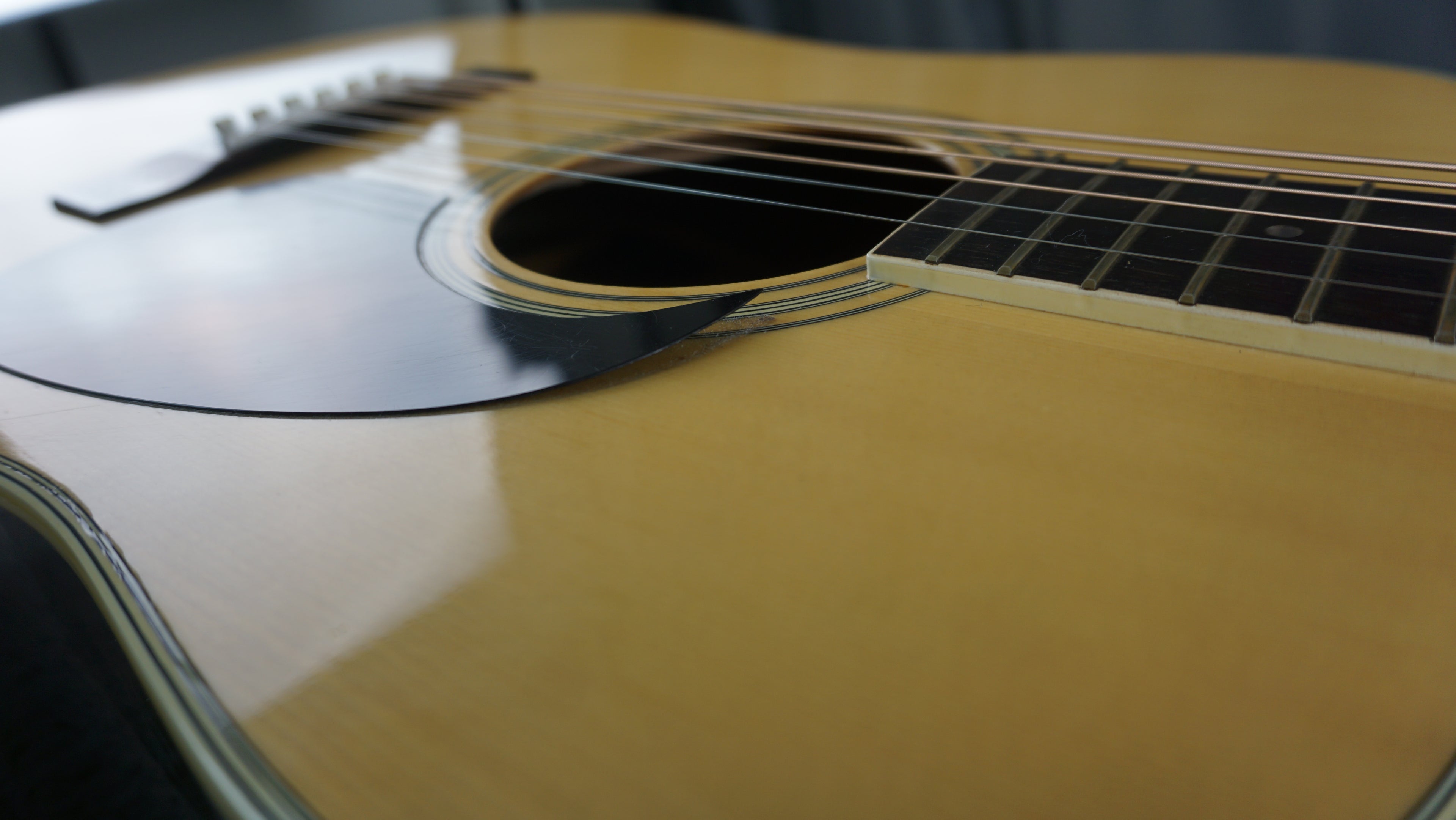 Morris W-20 Japan Acoustic