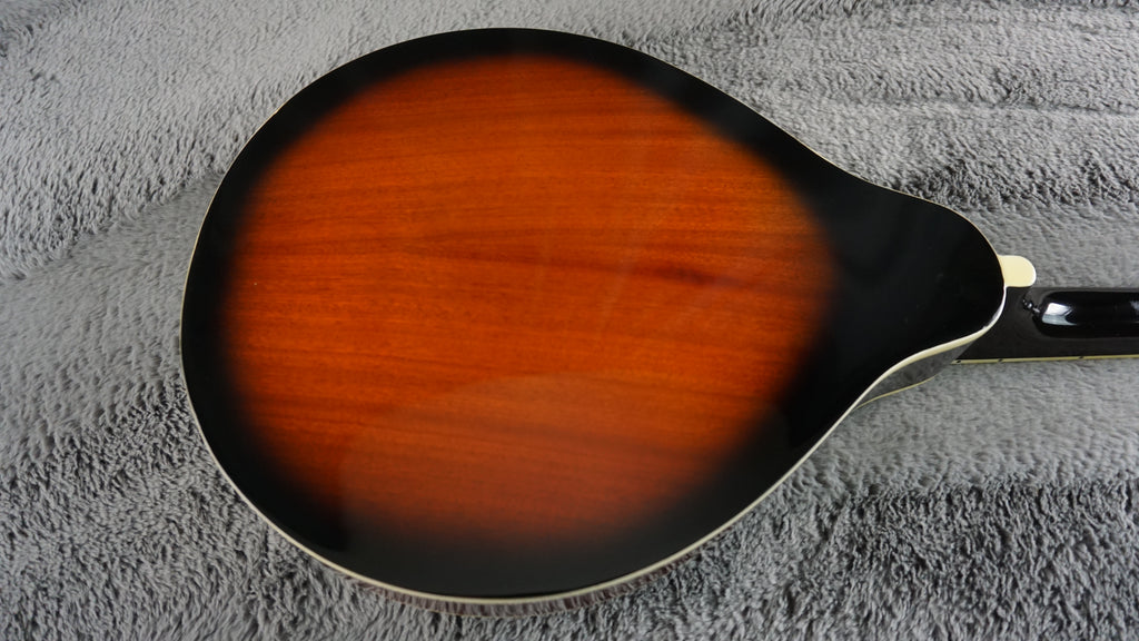 Aria AM-20E Japan Mandolin w/ Hard Case