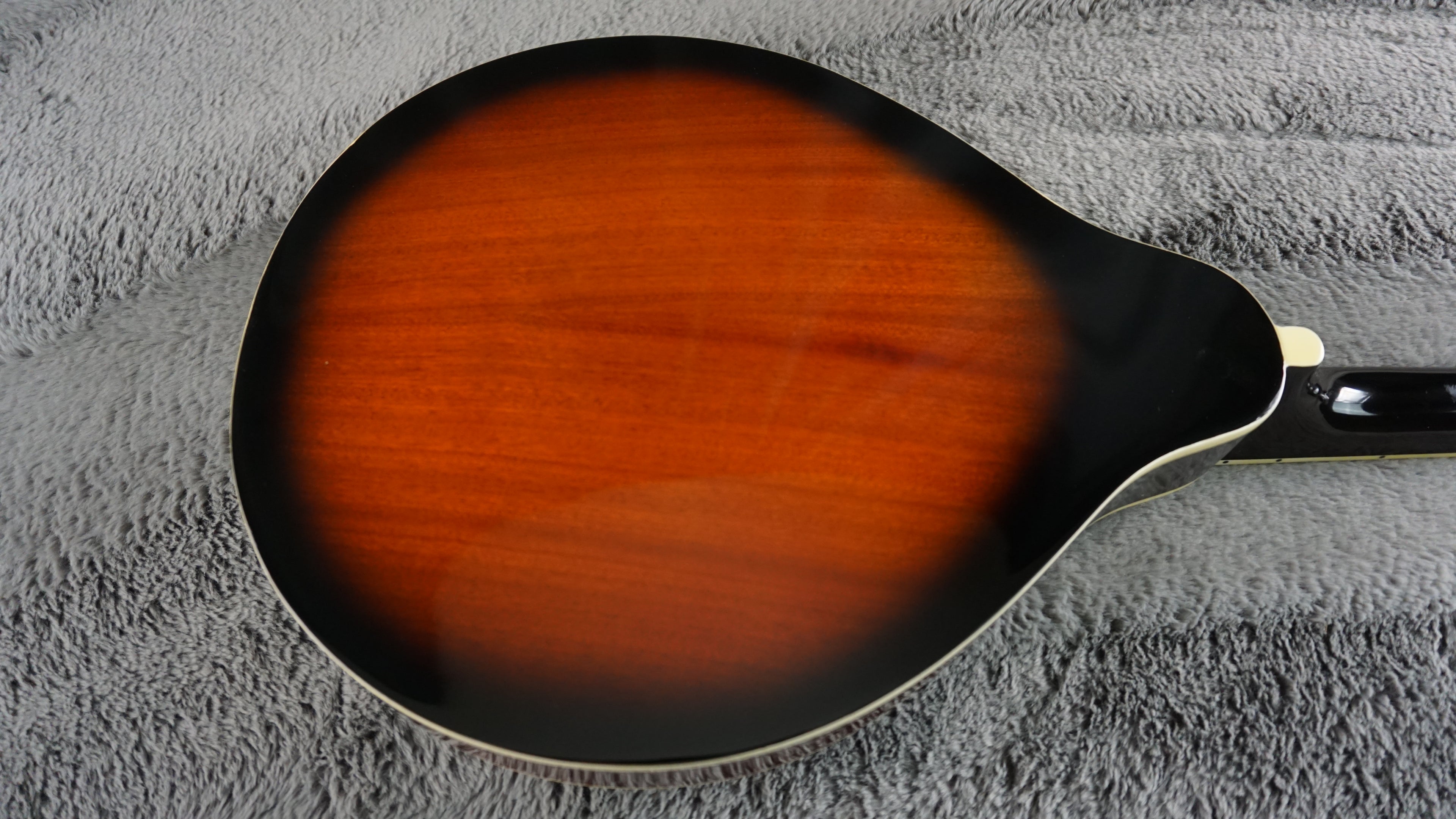 Aria AM-20E Japan Mandolin w/ Hard Case