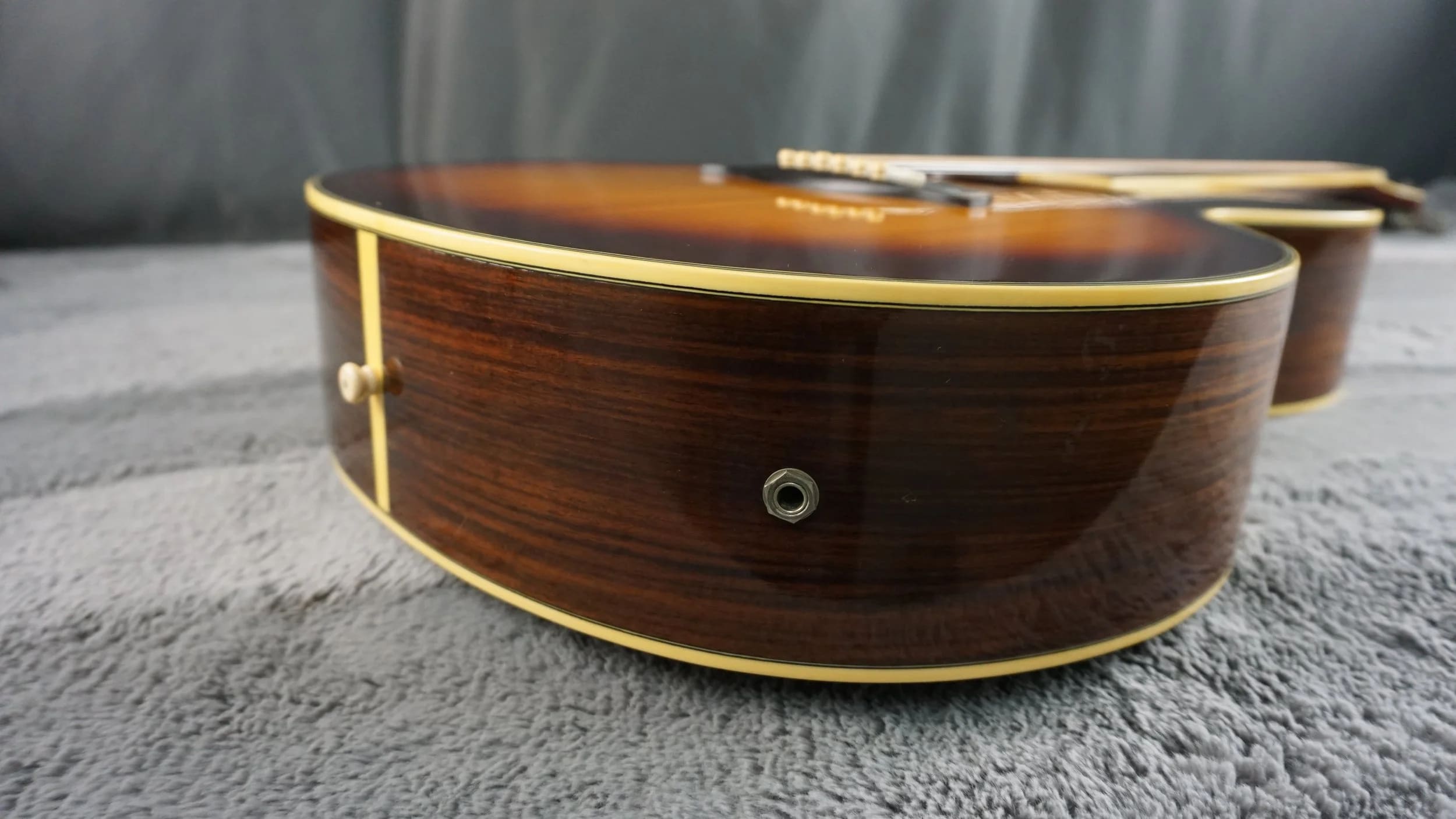 Aria Elecord FE-60 w/ Built-In Electronics w/ Hard Case