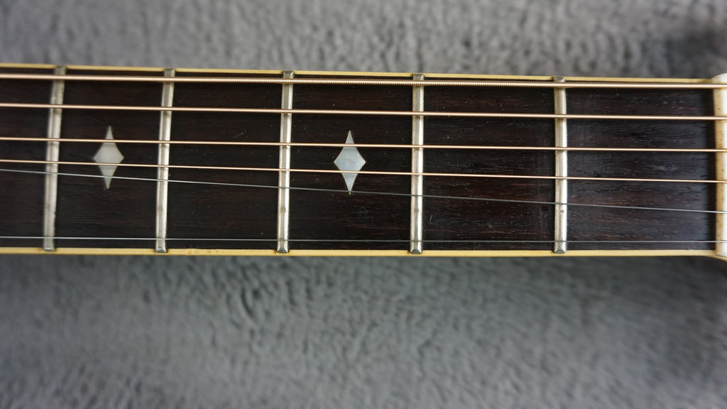 Aria Elecord FE-60 w/ Built-In Electronics w/ Hard Case